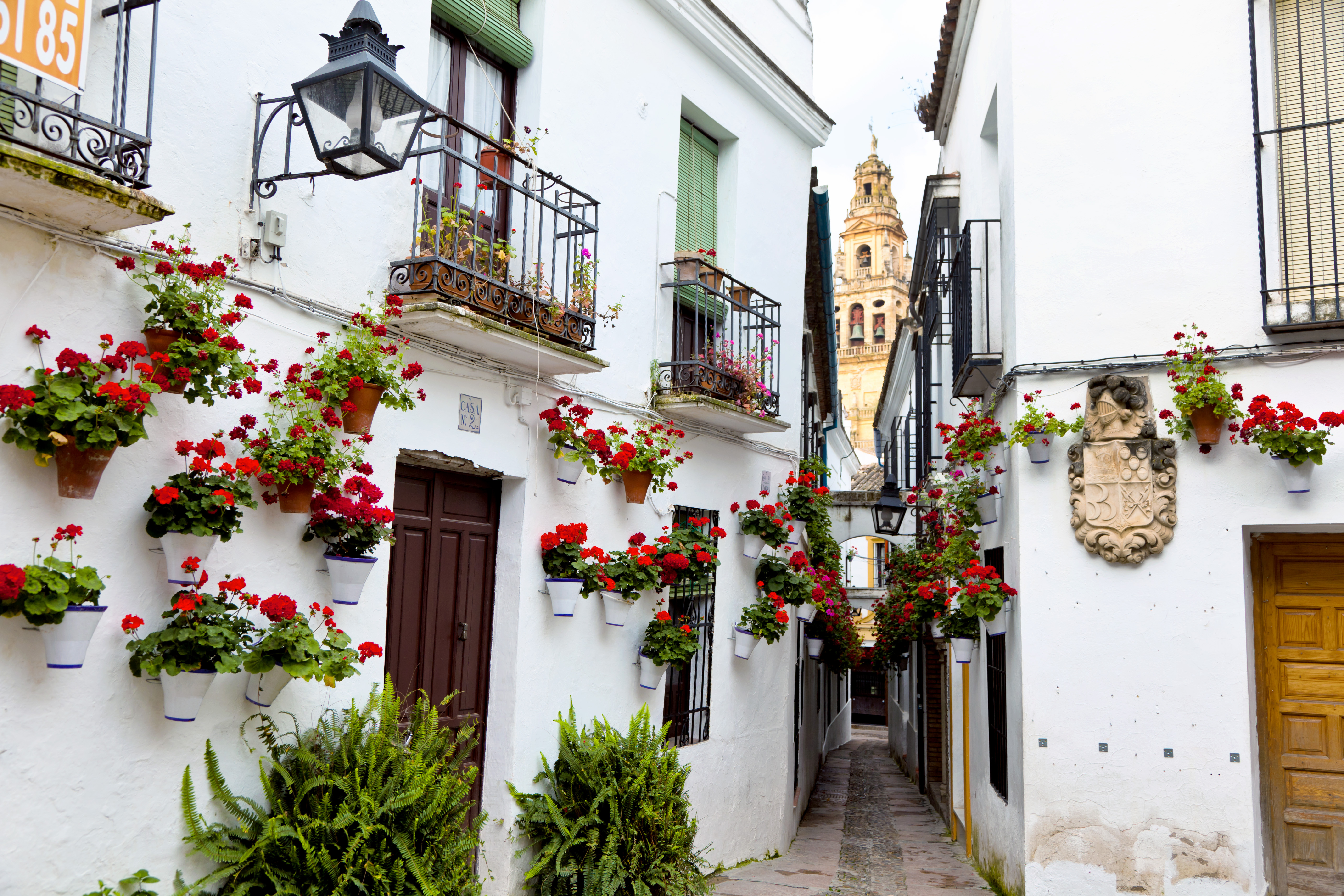 Calleja De Las Flores Cordoba Shutterstock 170407601