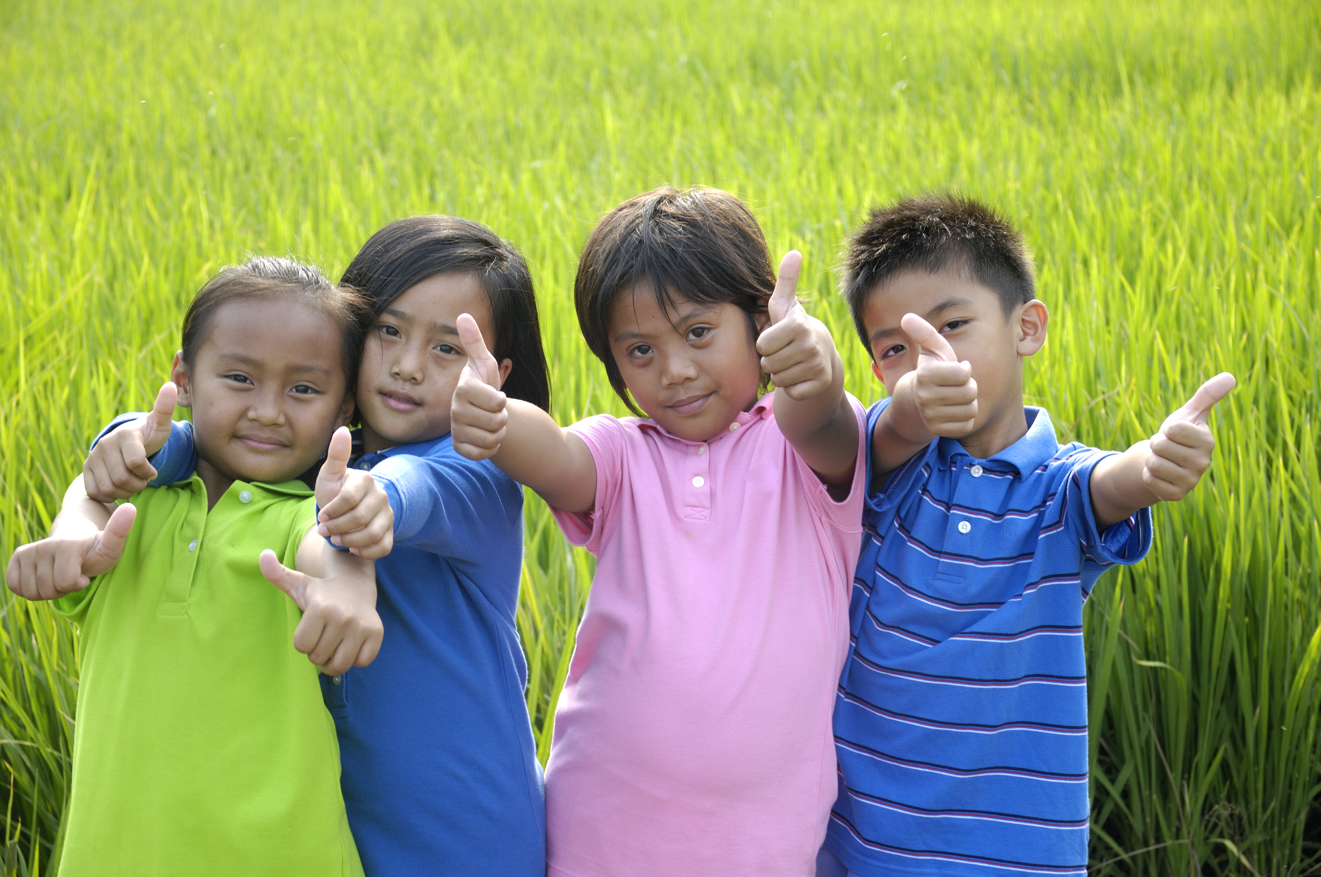 MOTIVER - I kommer hjem fra Vietnam med masser af fotos. Af landskaber, markeder, gamle gader og smilende vietnamesere, Check Point Travel