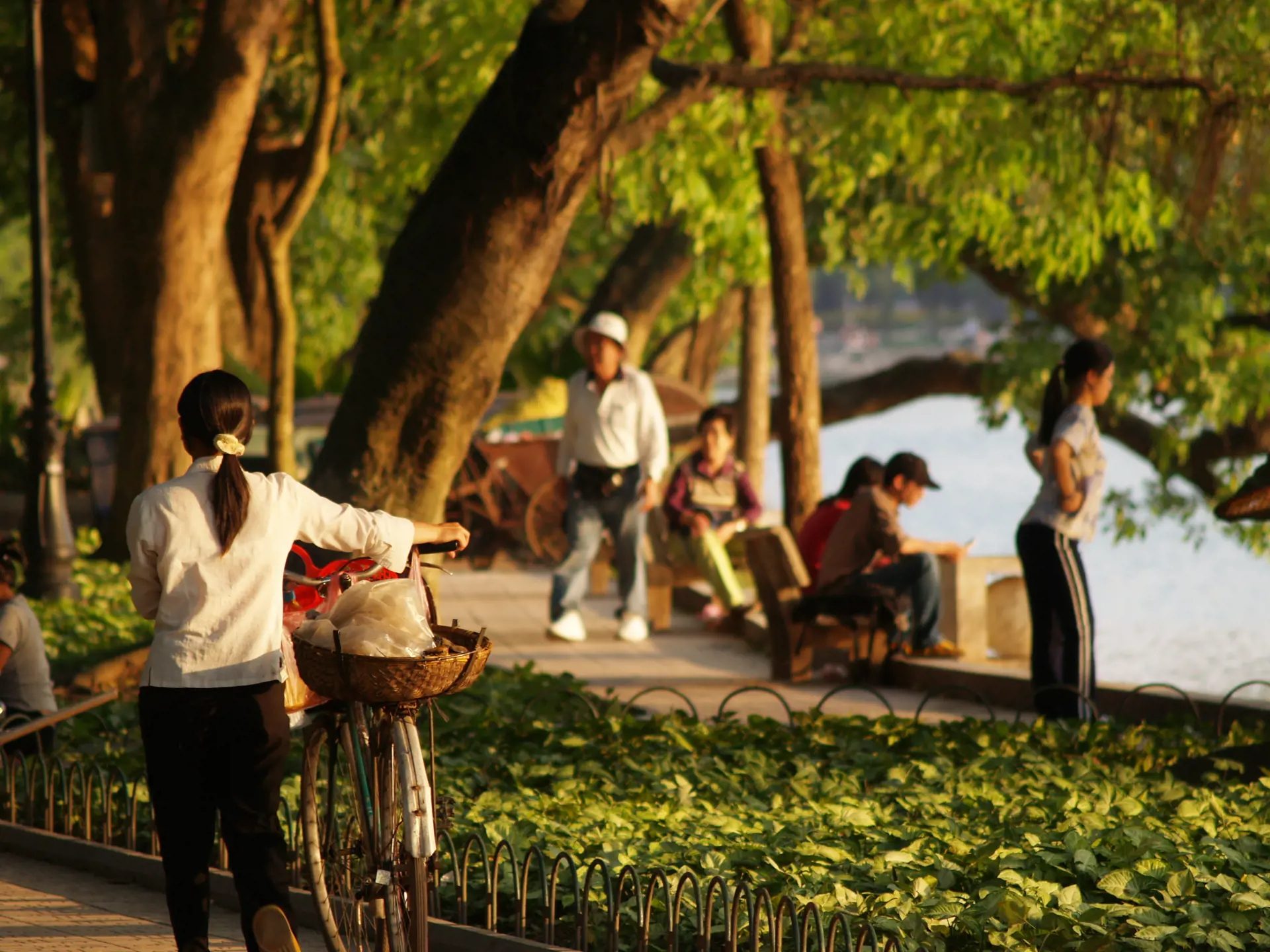 PARKLIV I HANOI - I byens parker og omkring søerne er der liv fra morgen til aften, Check Point Travel