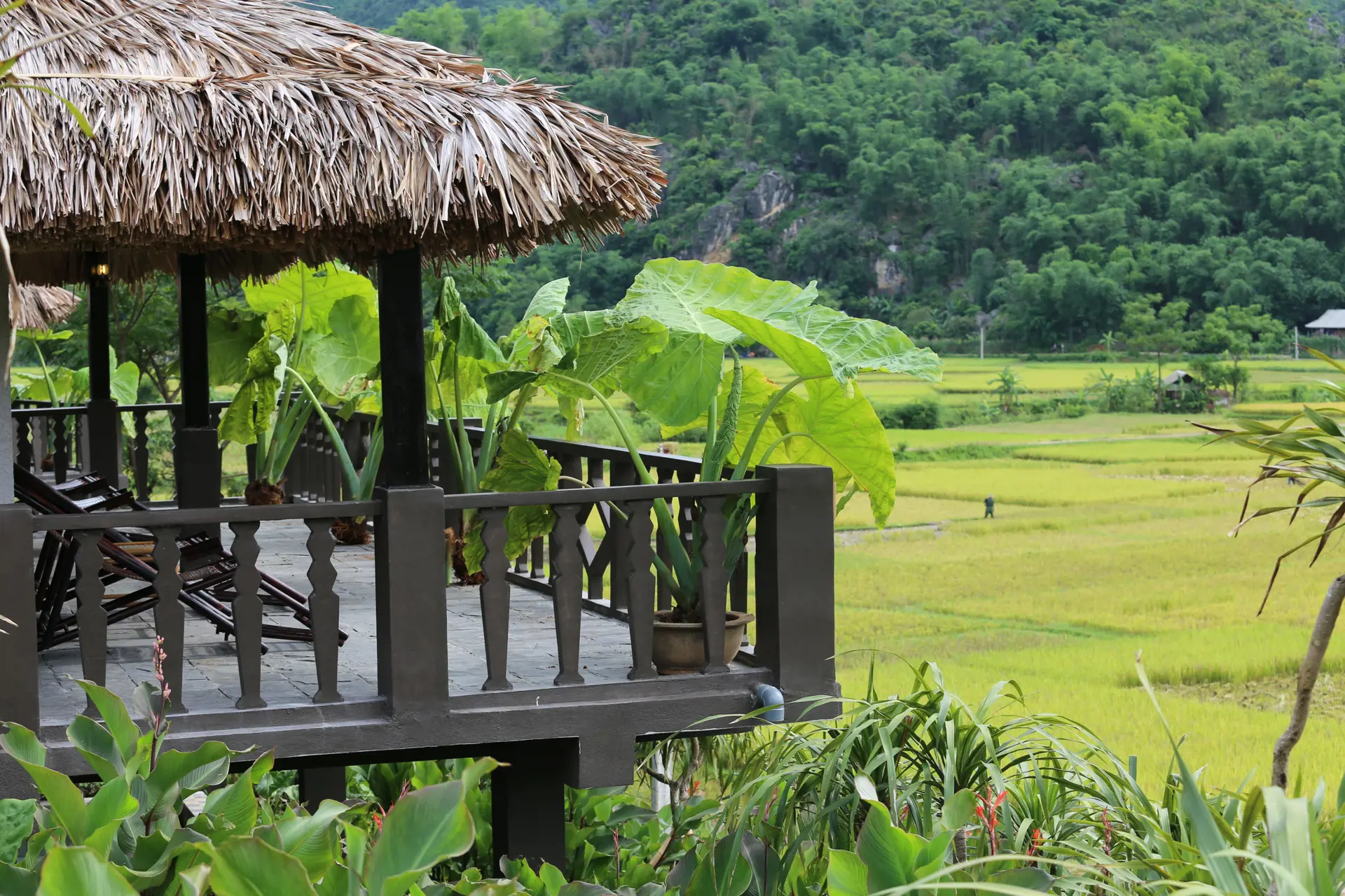 MAI CHAU - Jeres resort ligger med en formidabel udsigt til landskabet og rismarkerne, hvor de lokale plejer afgrøderne, Check Point Travel