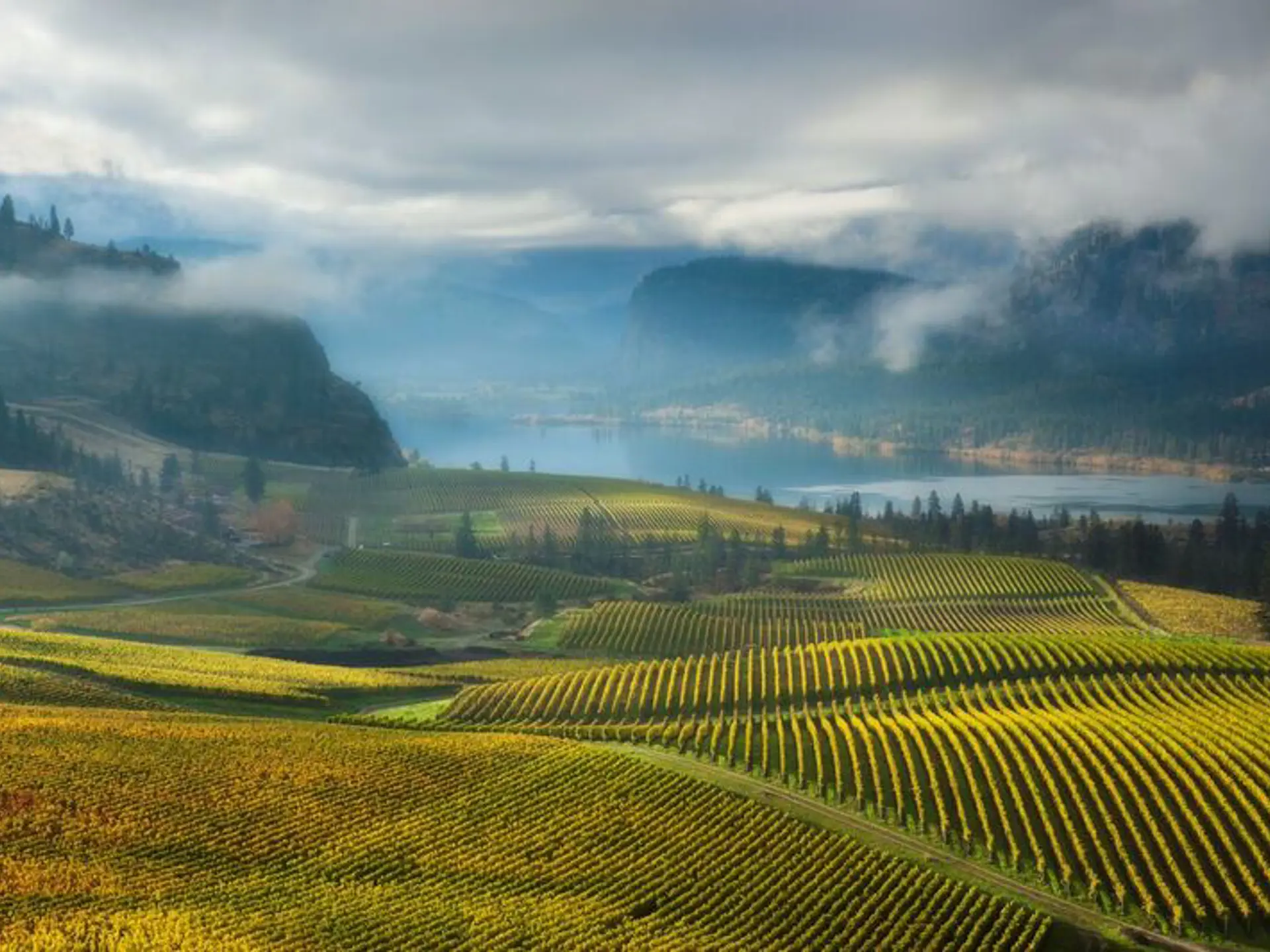 KELOWNA - vinmarker så langt øjet rækker så kig indenfor og smag på de lokale årgange, Check Point Travel