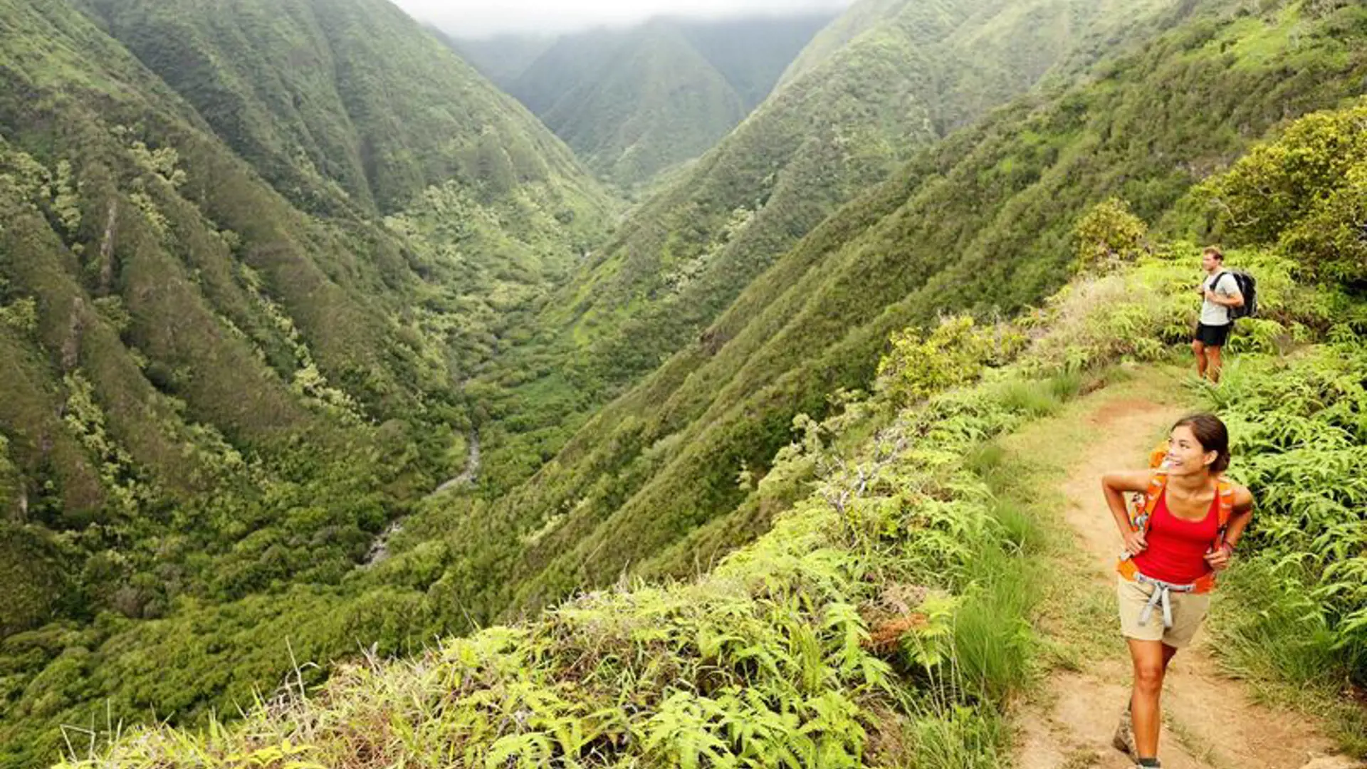 MAUI - Waihee ridge trail er blot en af mange spektakulære vandreture på Maui, Check Point Travel