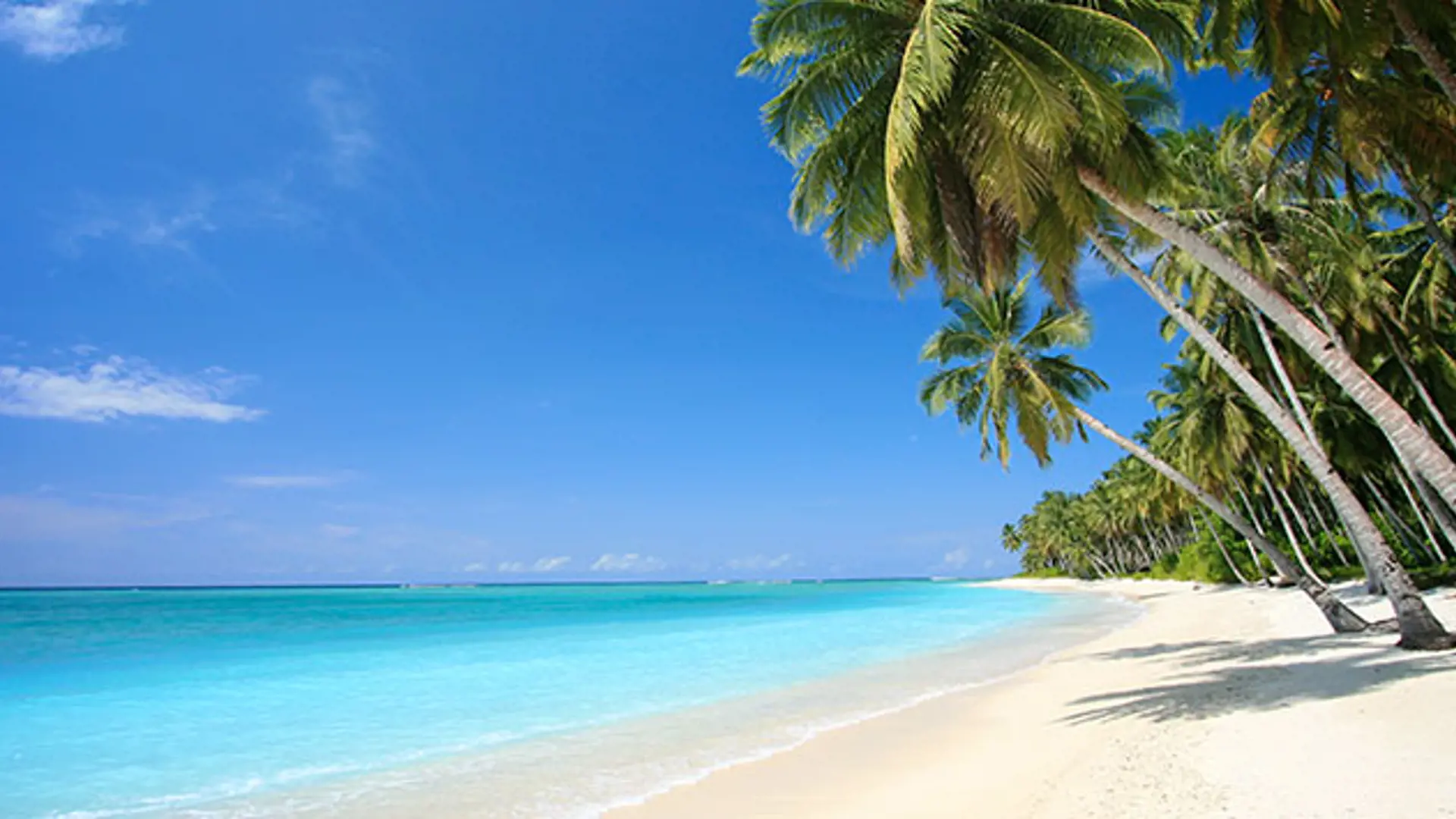 MALDIVERNE - nogle af de mest indbydende bounty strande finder du på Maldiverne, Check Point Travel