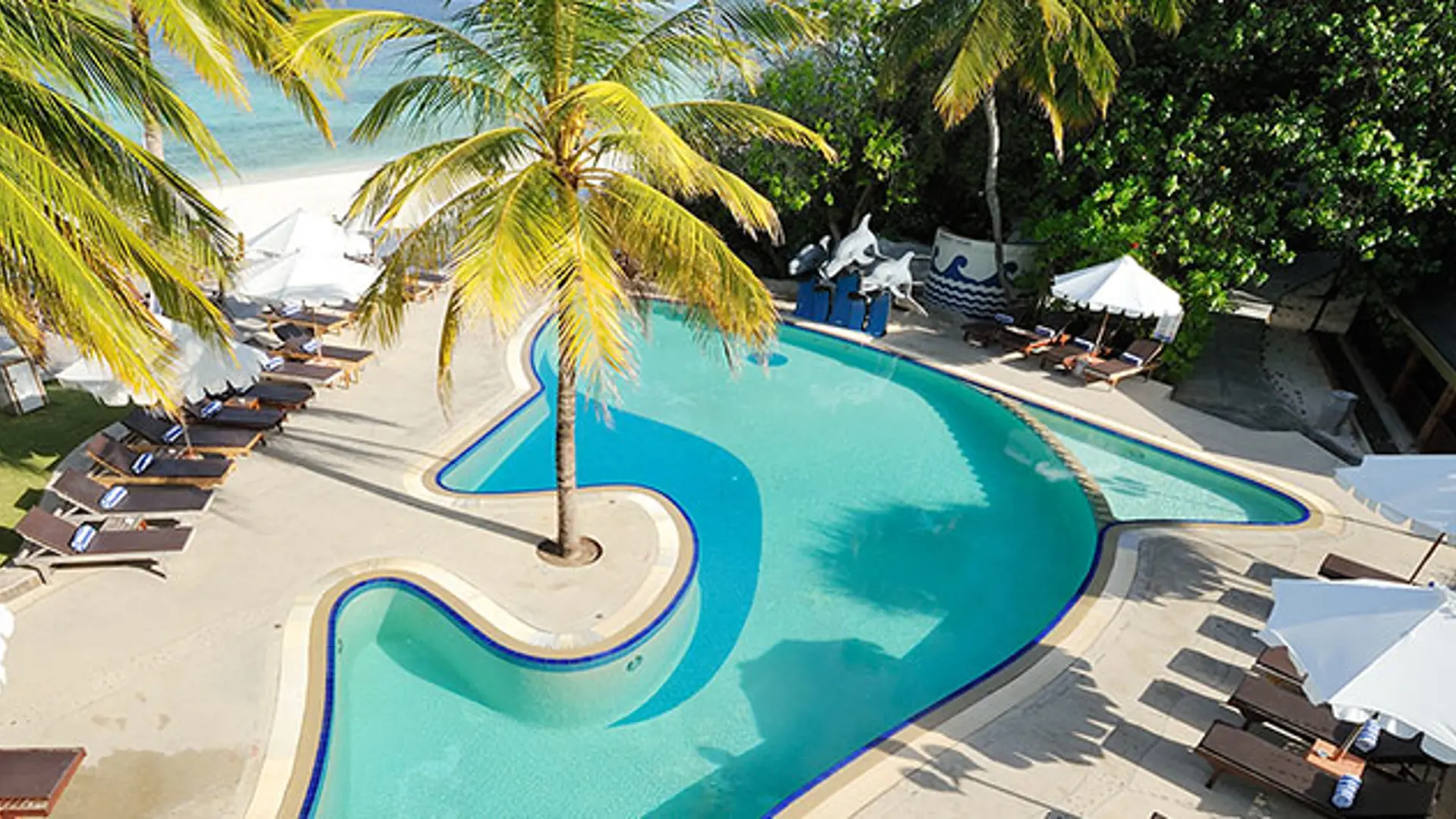 PARADISE ISLAND - udover flere restauranter og en skøn spa-afdeling tilbyder resortet ligeledes adgang til swimmingpool, Check Point Travel