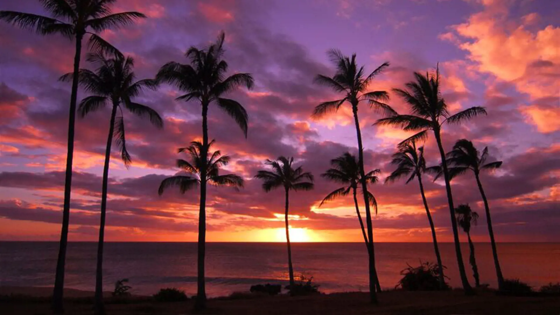 MAUI - der er ikke mange steder i Verden, som kan matche Hawaii, når det kommer til solnedgange, Check Point Travel