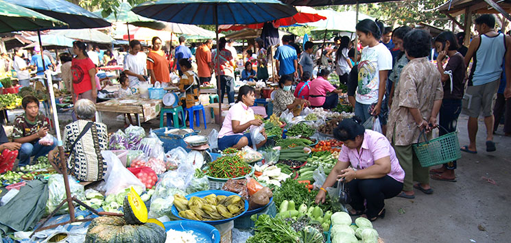 MARKED - To gange om ugen afholder man i Khanom et kæmpestort marked. Et rigtigt thailands marked. Det må I ikke gå glip af