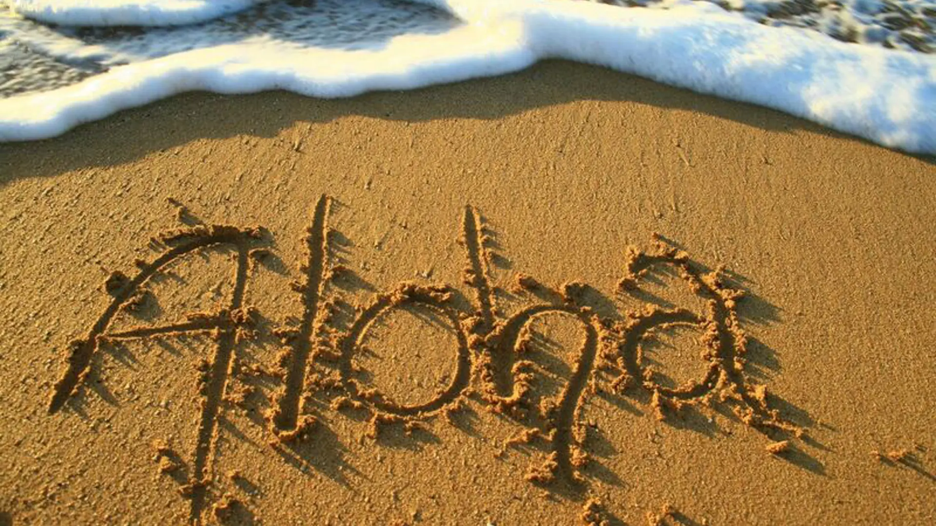 HAWAII - alle steder bliver du mødt af den lokale velkomsthilsen, Aloha, Check Point Travel