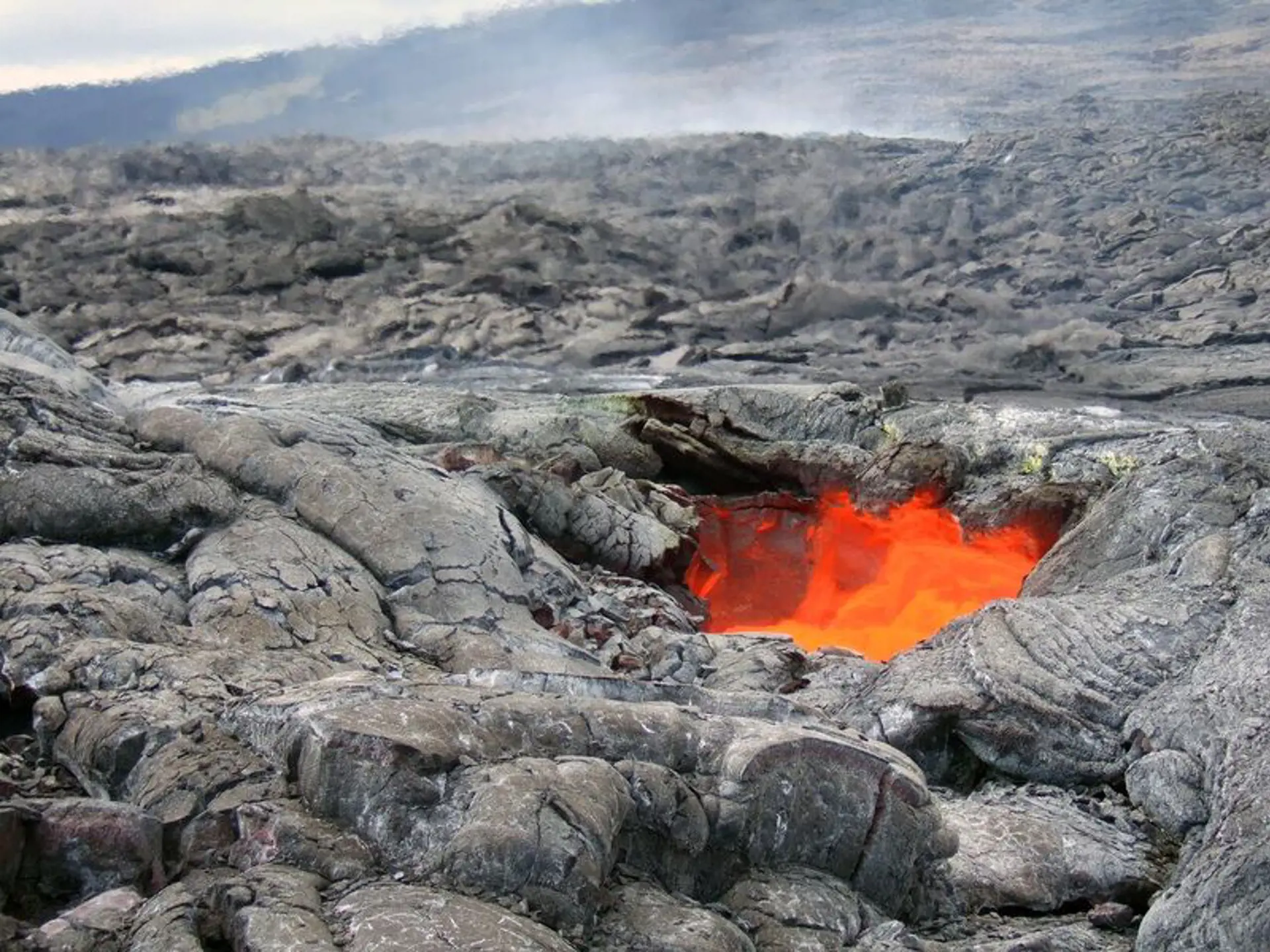 VOLCANO NATIONAL PARK - her er der gode muligheder for at opleve levende lava, der løber i gange under den størknede overflade, Check Point Travel