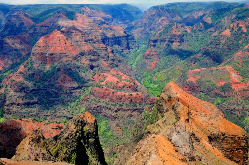 KAUAI - Waimea Canyon er et af de mest fascierende naturscenerier på Hawaii. Dybere og mere frodig end Grand Canyon på fastlandet., Check Point Travel