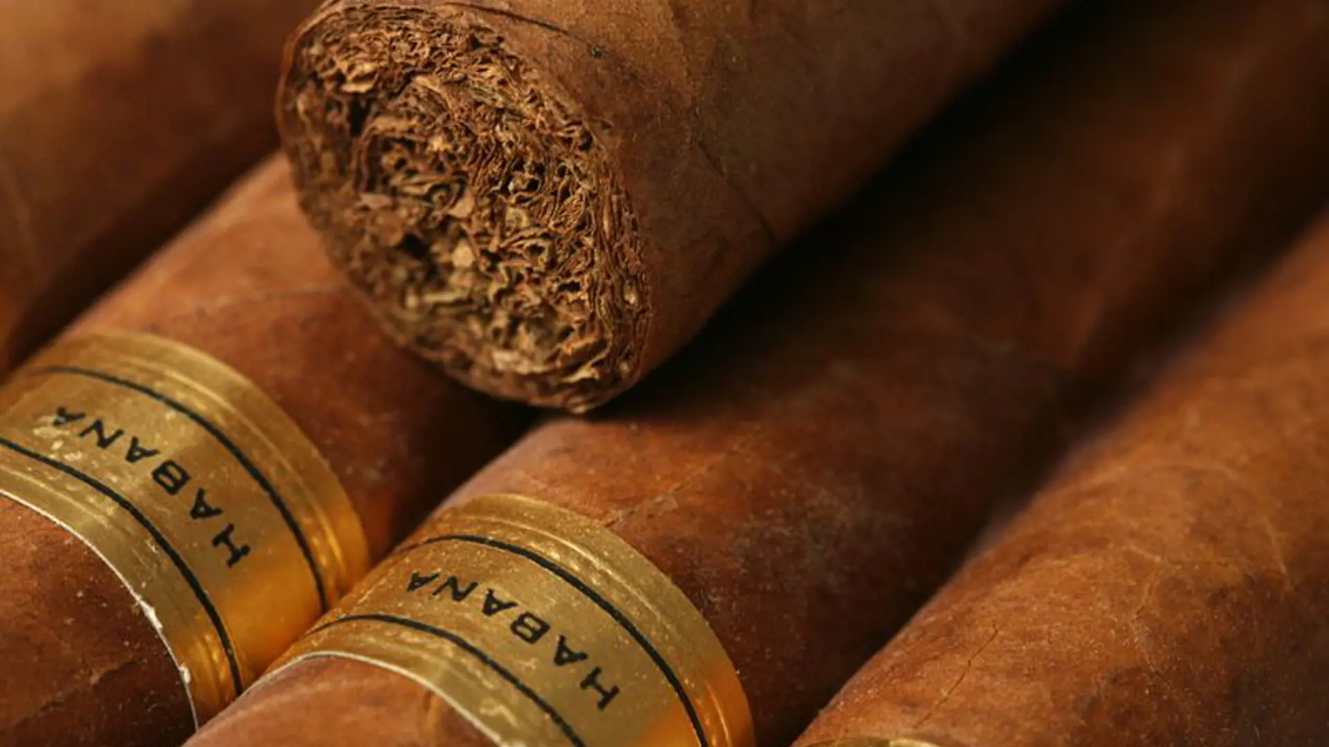 KULTUR - cubanerne fremstiller nogle af Verdens bedste cigarer, og der er mulighed for at følge produktionen fra marken til butikken, Check Point Travel