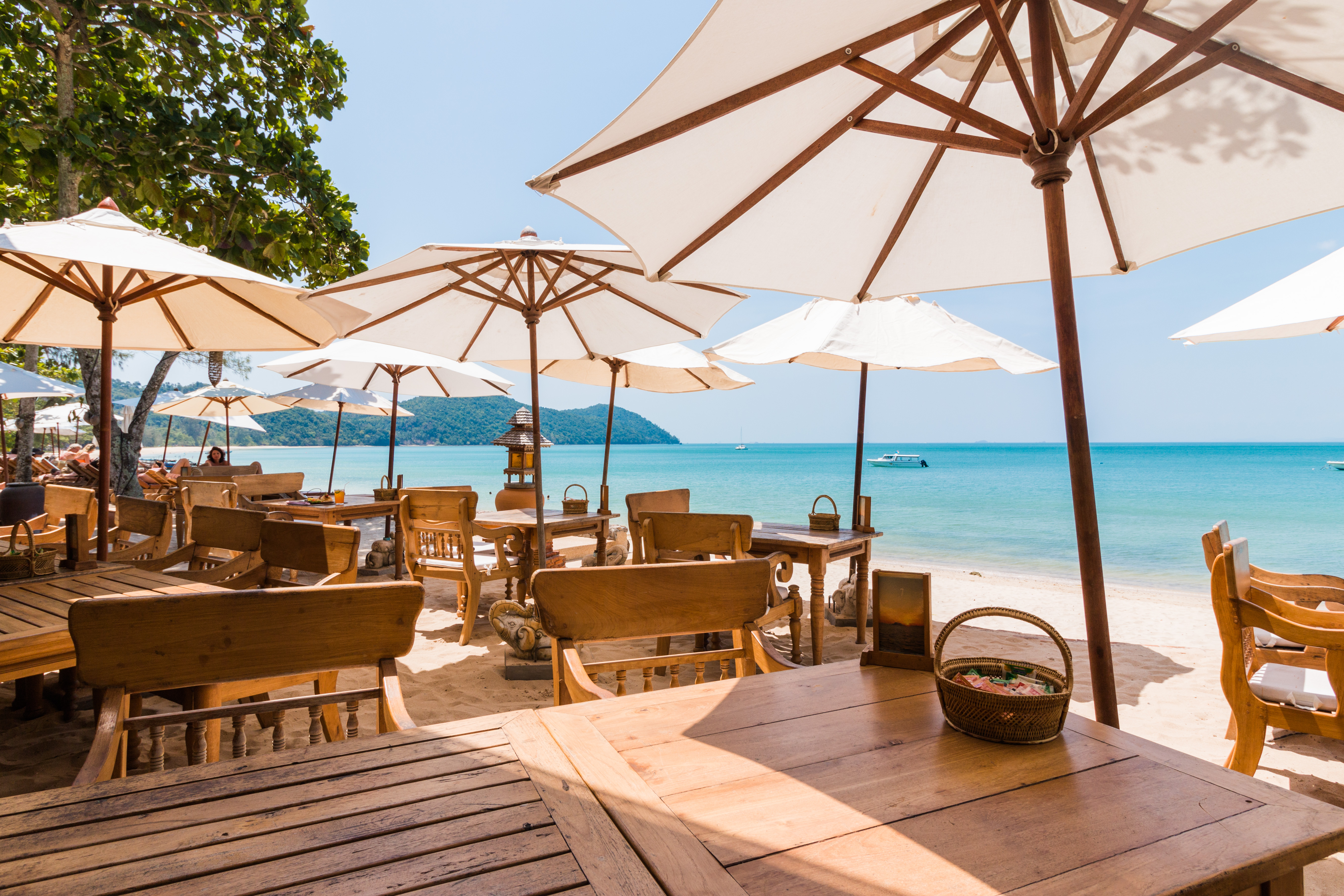 JA TAK! - Jeg tager gerne en papayasalat og en kold øl, Check Point Travel