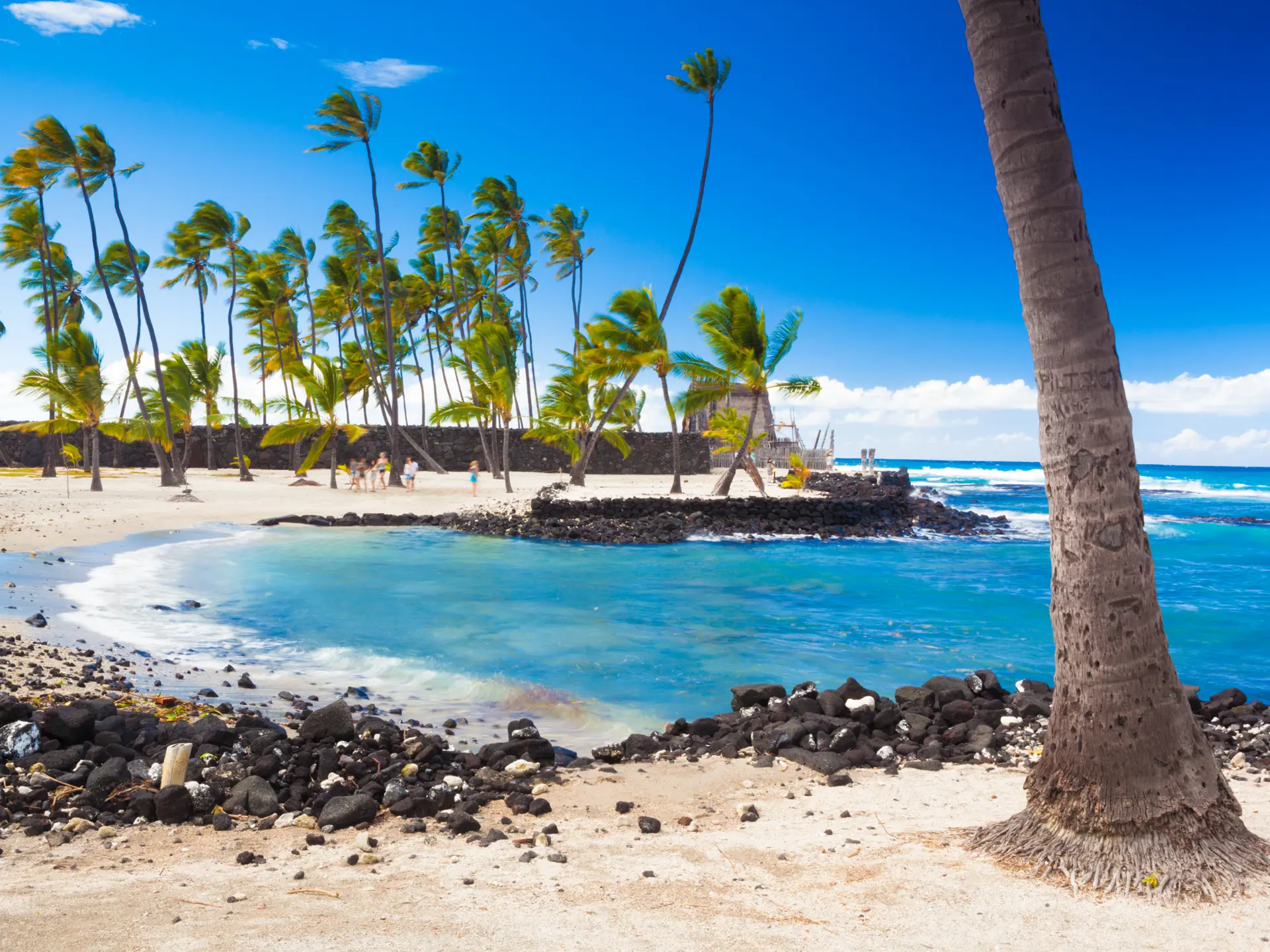 Palm trees growing on ancient Hawaiian site Pu'uhonua O Honaunau National Historical Park on Big Island, Hawaii.jpg