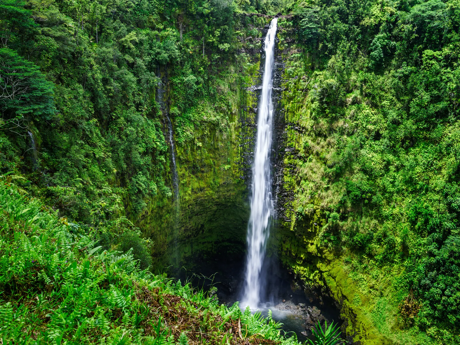shutterstock_155216363 Akaka falls close to Hilo, Big Island, Hawaii.jpg