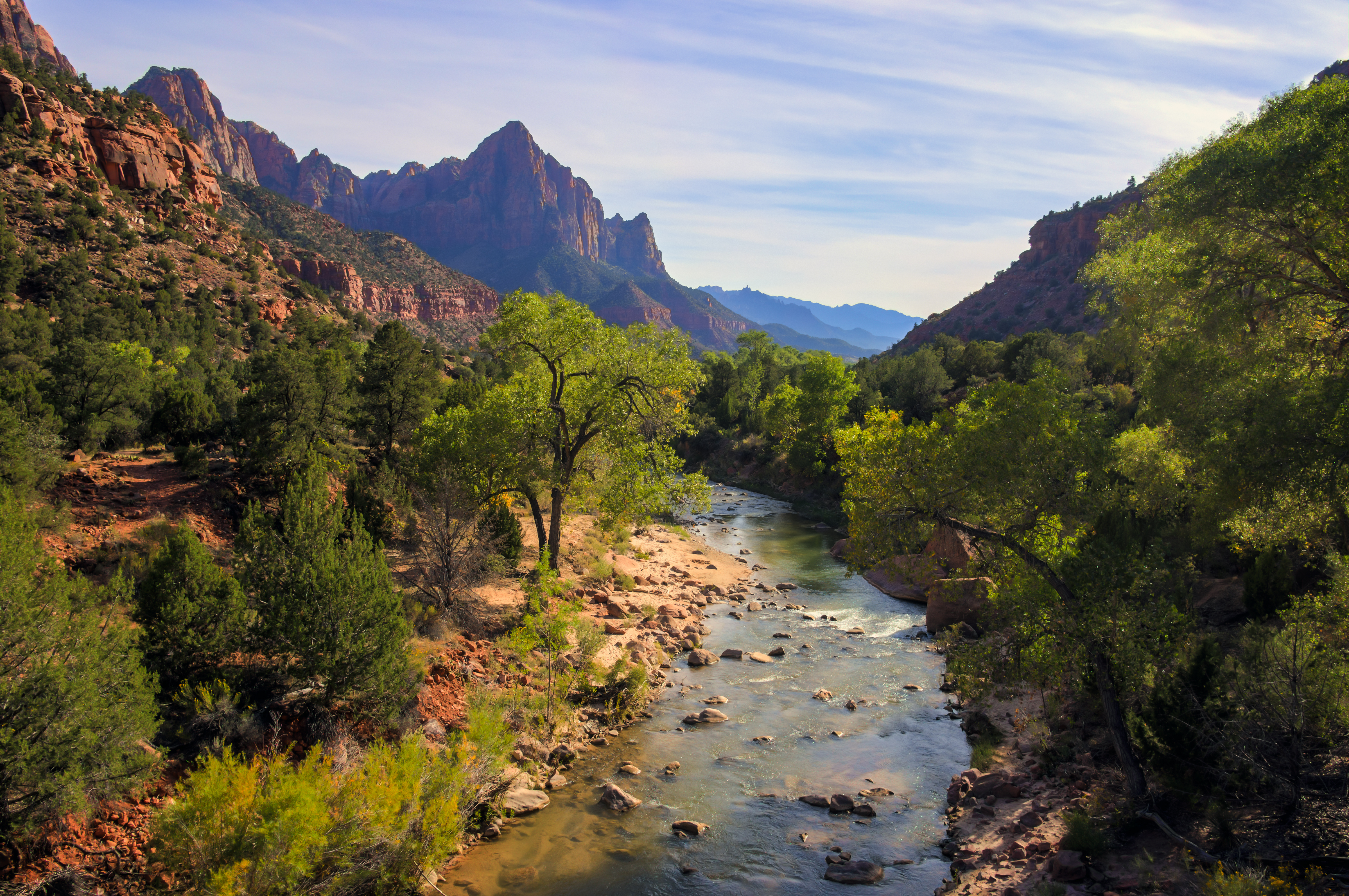 Zion NP 117783742