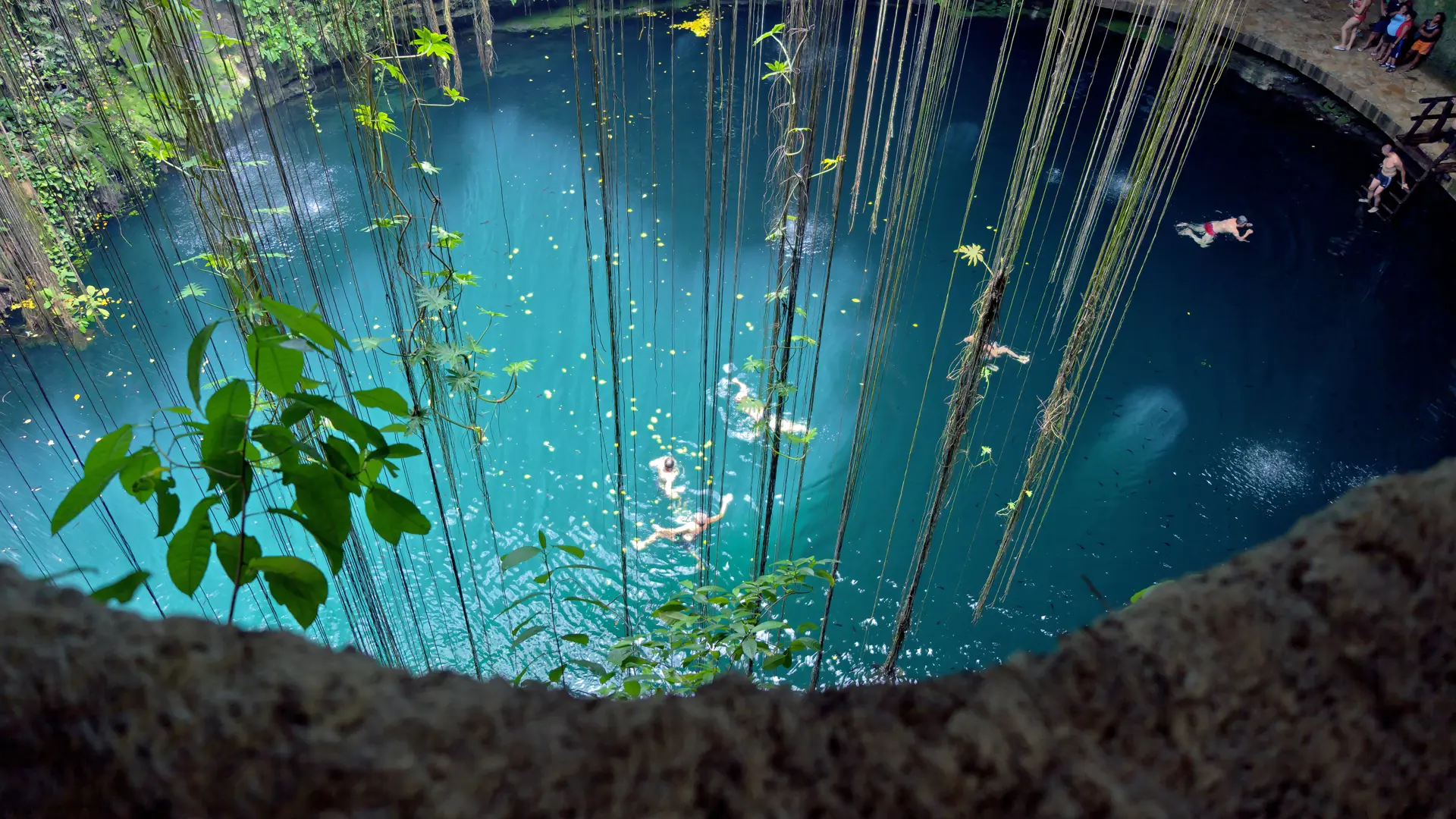 IK KIL - Yucatan-halvøen er reelt en stor kalkstensklippe med underjordiske floder og grotter med søer, hvor I kan bade under lianer og drypsten som her i Ik Kil ved Chichén Itza