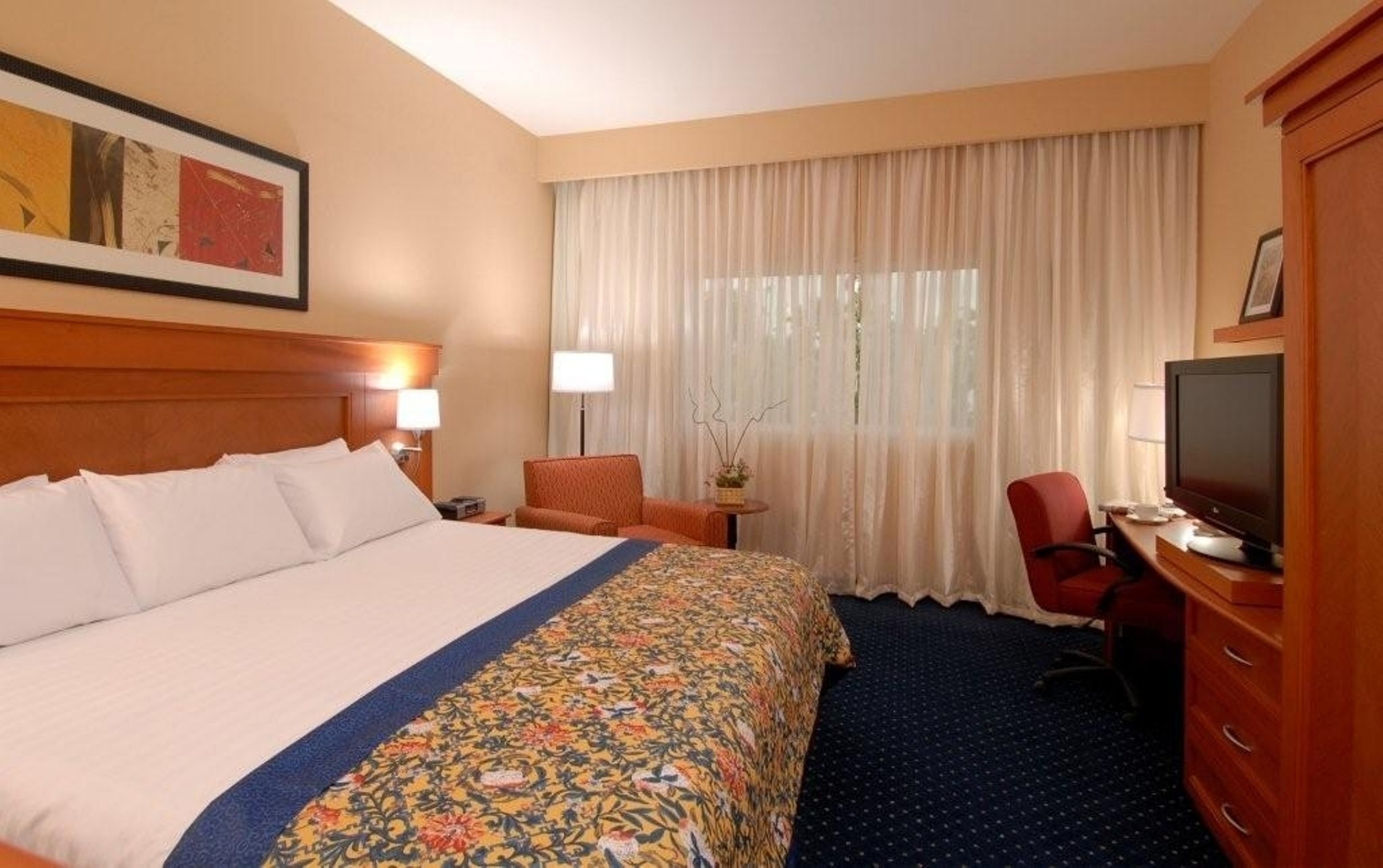 Habitacion cama king..jpg