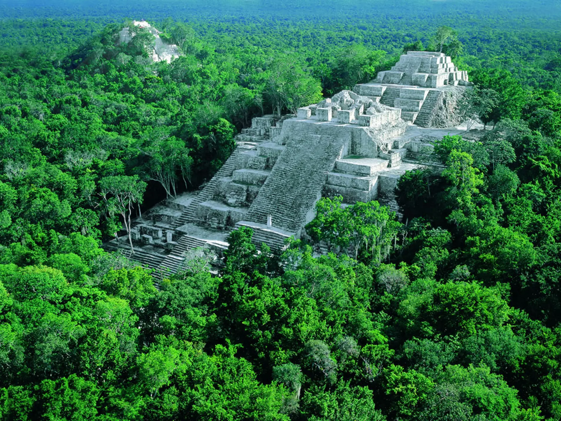 Calakmul 03.jpg