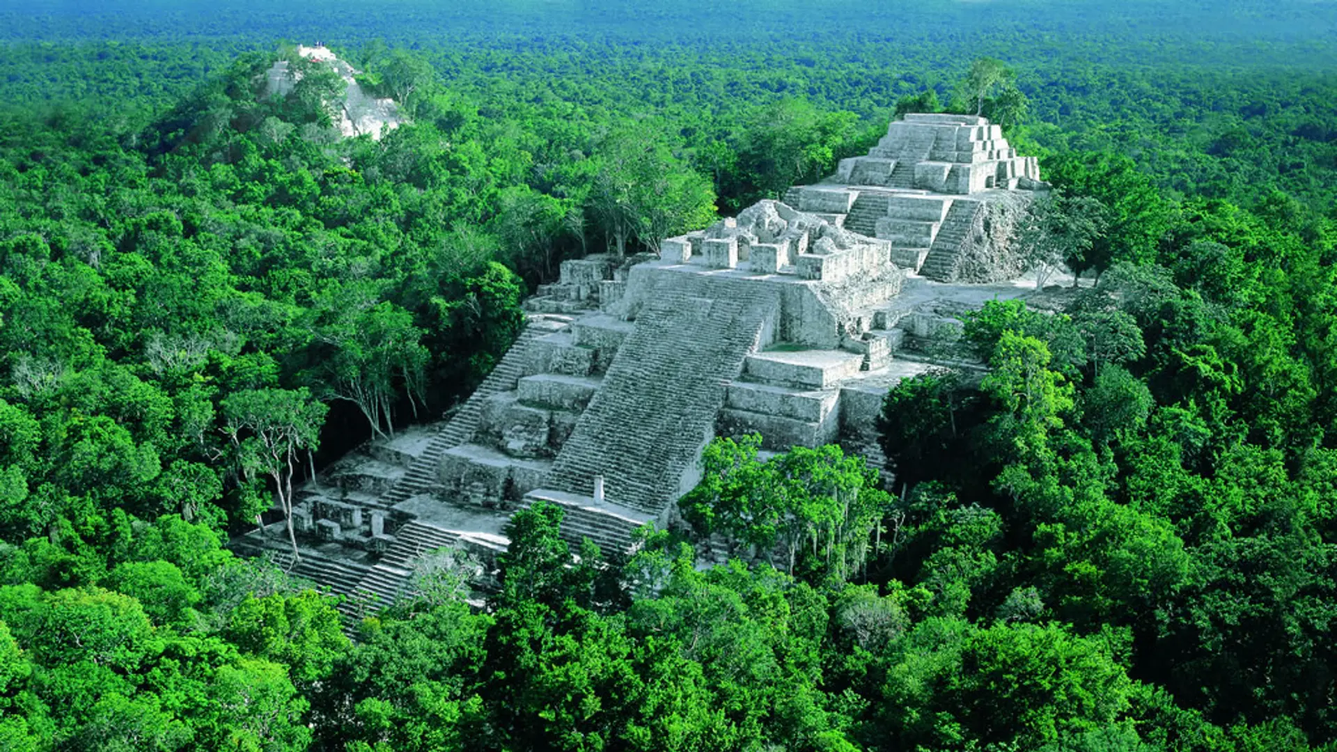 Calakmul 03.jpg