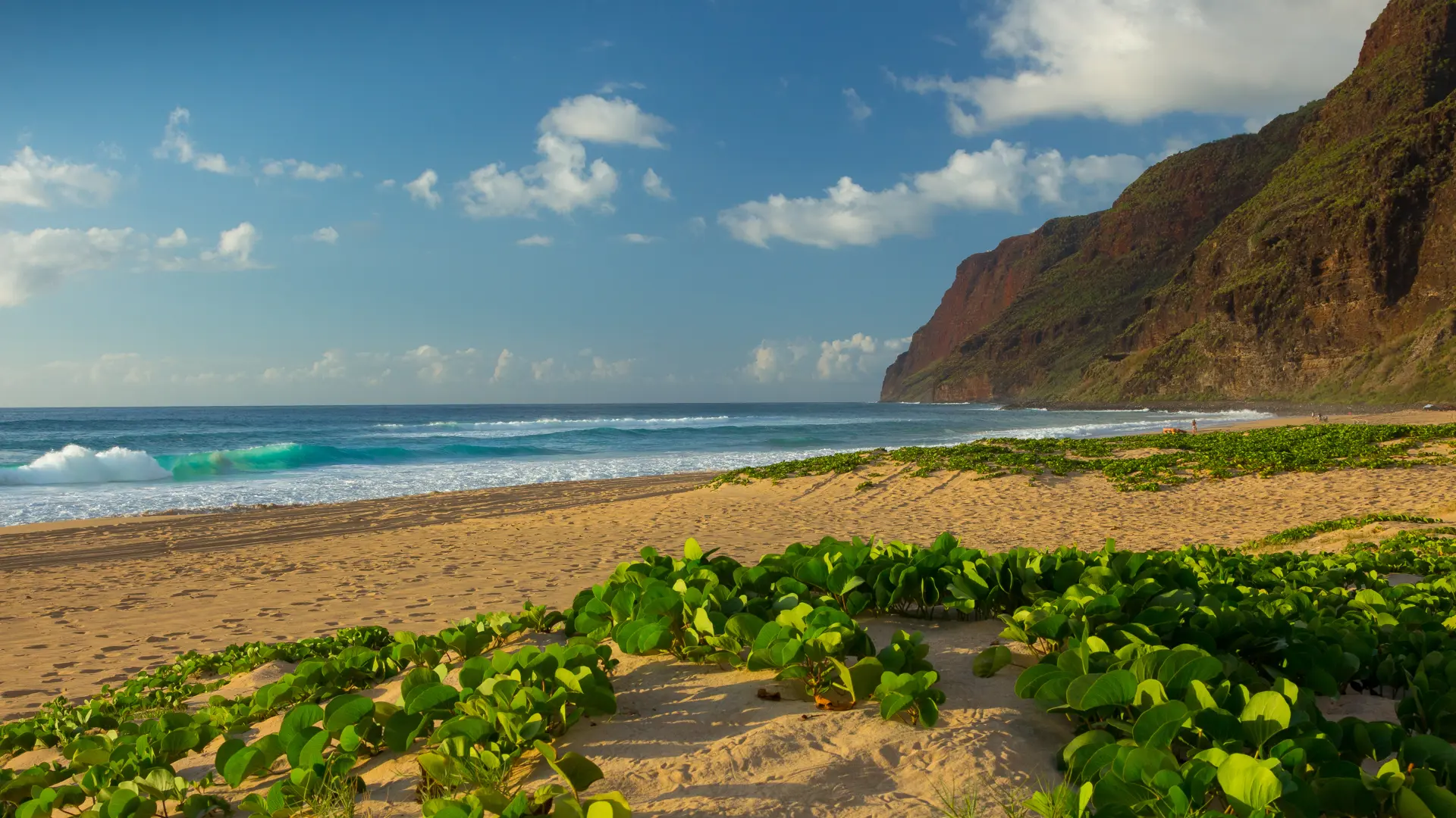 KAUAI - Aftensol over Polihale Beach Park.