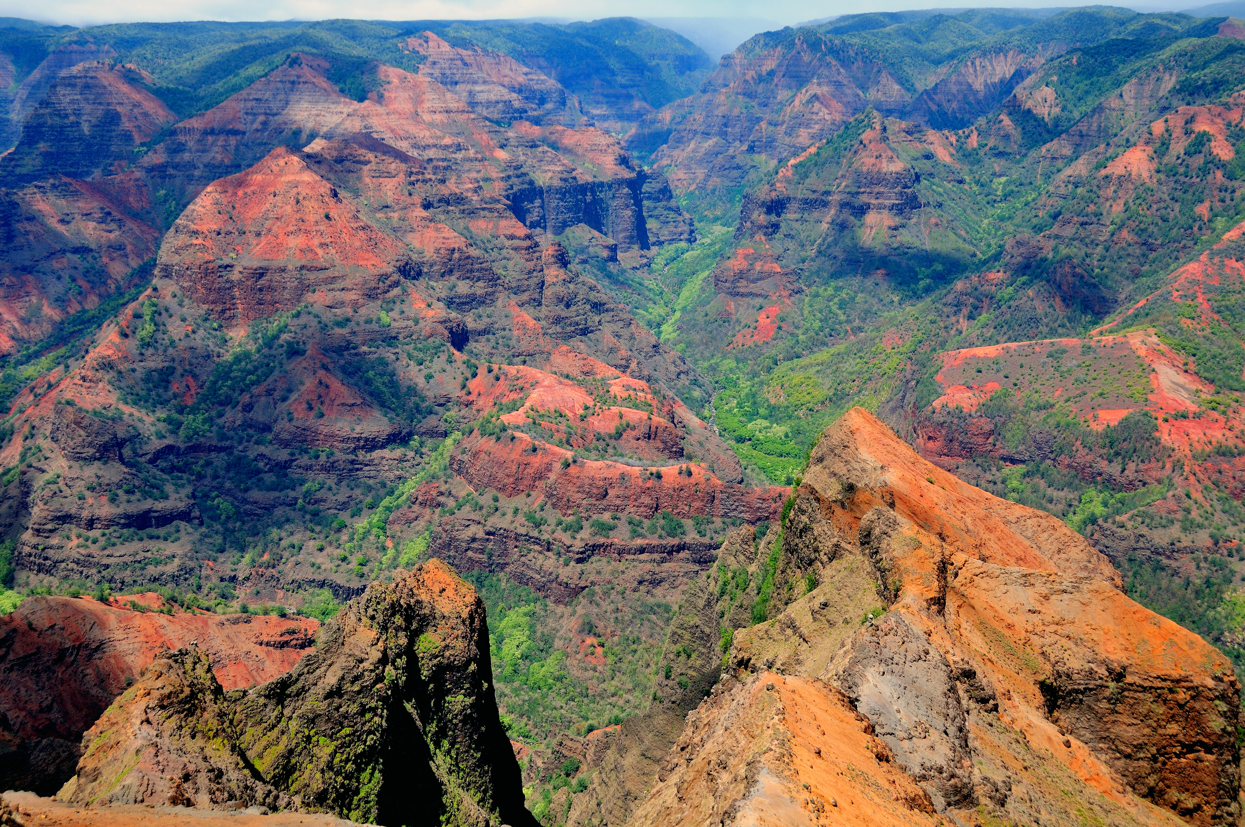 KAUAI - Waimea Canyon kaldes "Stillehavets Grand Canyon" - men her er noget mere frodigt.