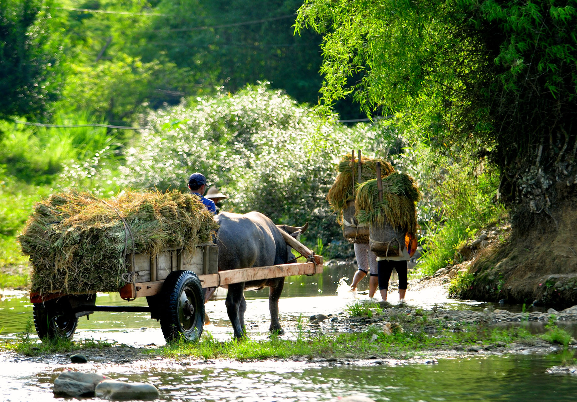 Puluong_retreat_Vietnam_landscape11.jpg