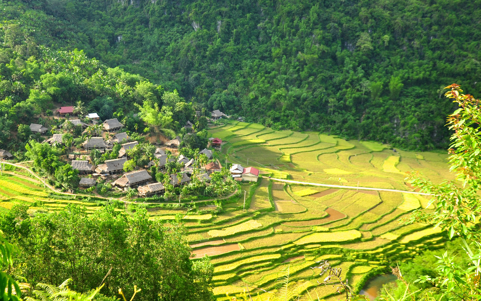 Puluong_retreat_Vietnam_landscape17.jpg
