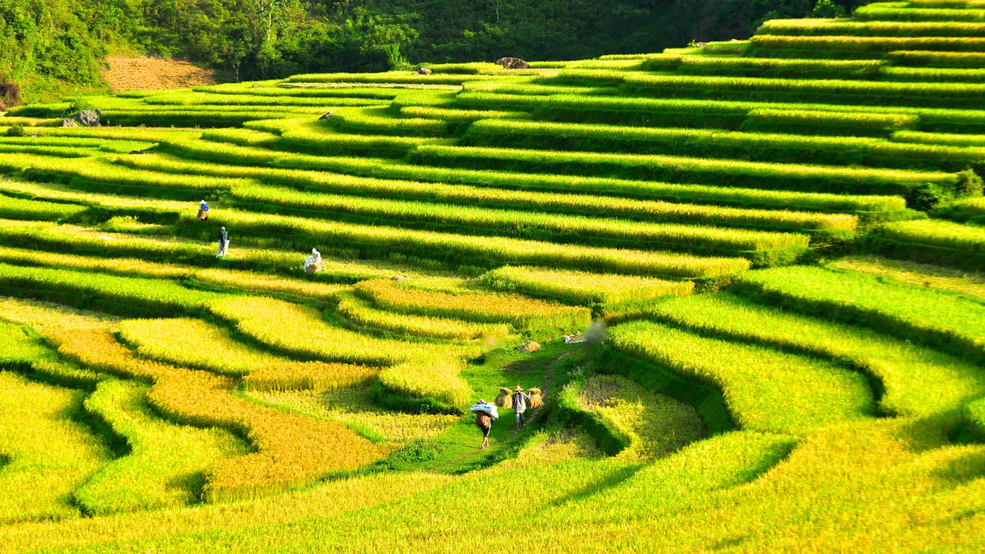 Puluong_retreat_Vietnam_landscape18.jpg