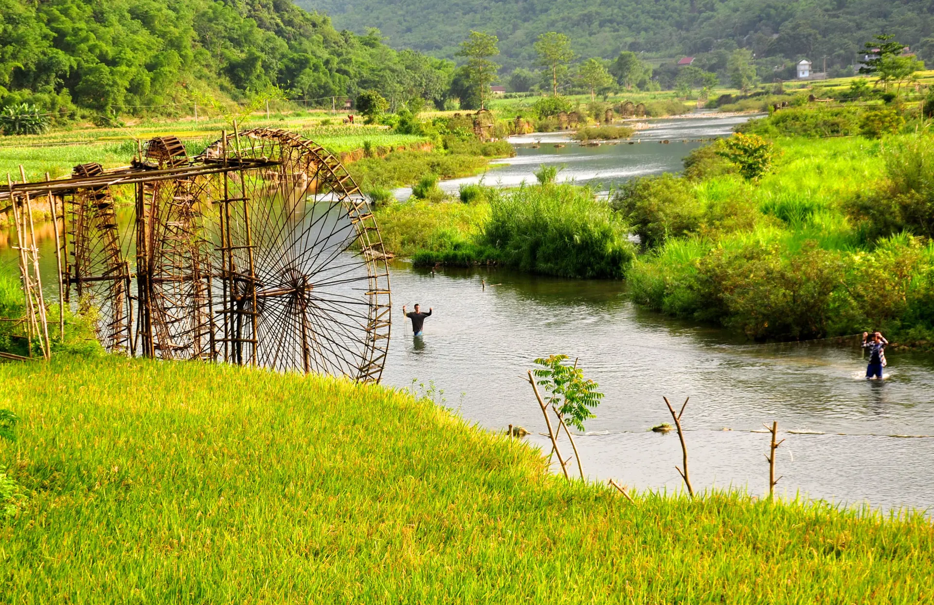 PU LUONG - Bambus-vandmøller bringer vand fra floden og op i rismarkerne via sirligt anlagte vandingskanaler.