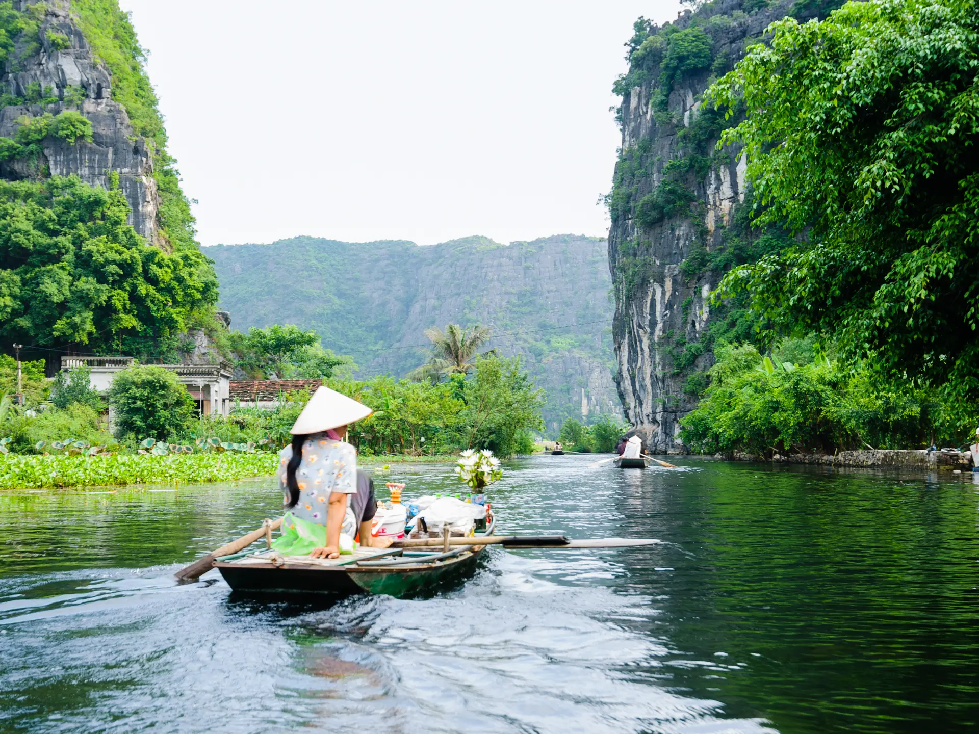 NINH BINH - Smukke flade rismarker kantes af majestætiske kalkstensklipper så langt øjet rækker.