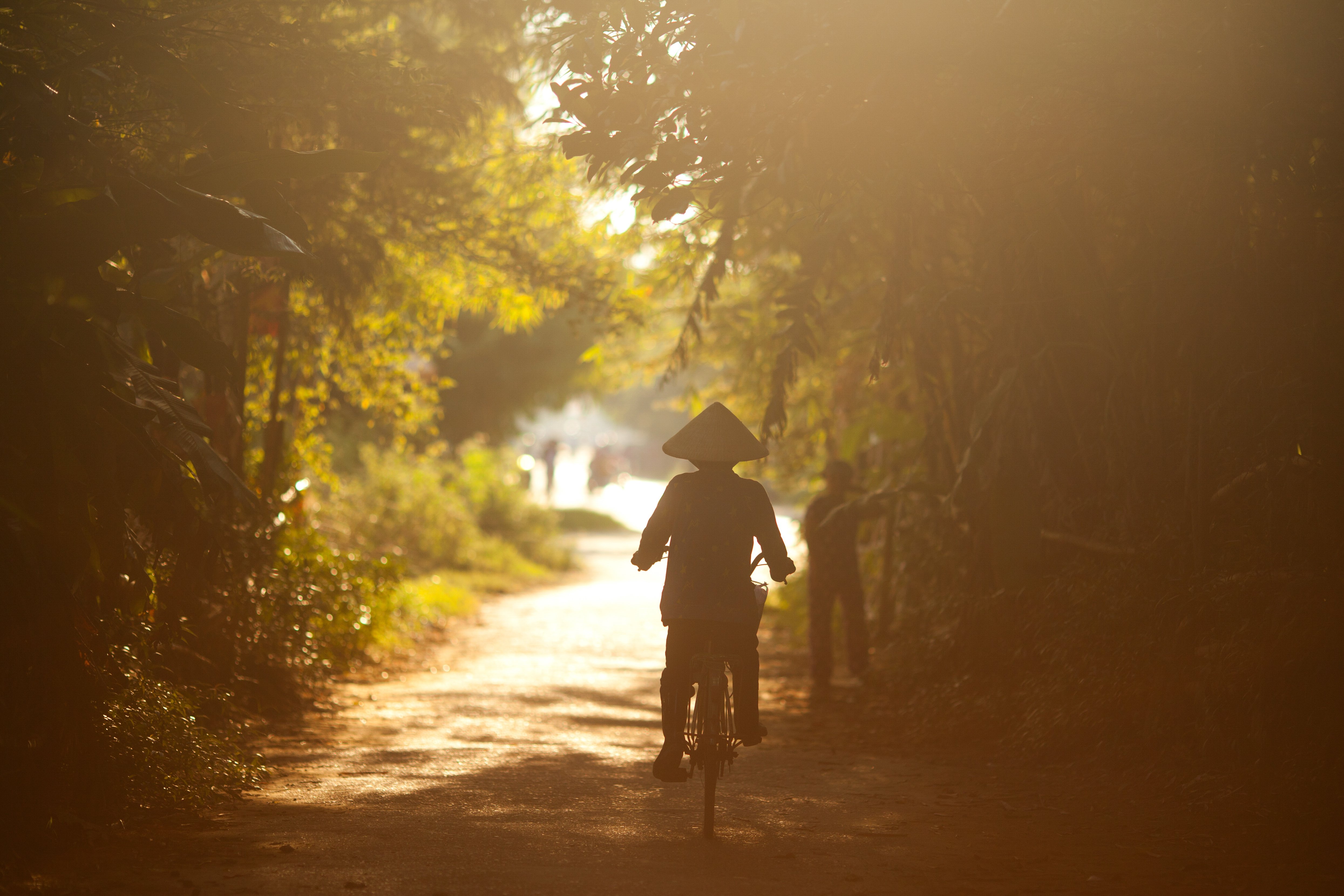 NINH BINH - Området ved Ninh Binh indbyder til en cykeltur mellem små uspolerede landsbyer. 