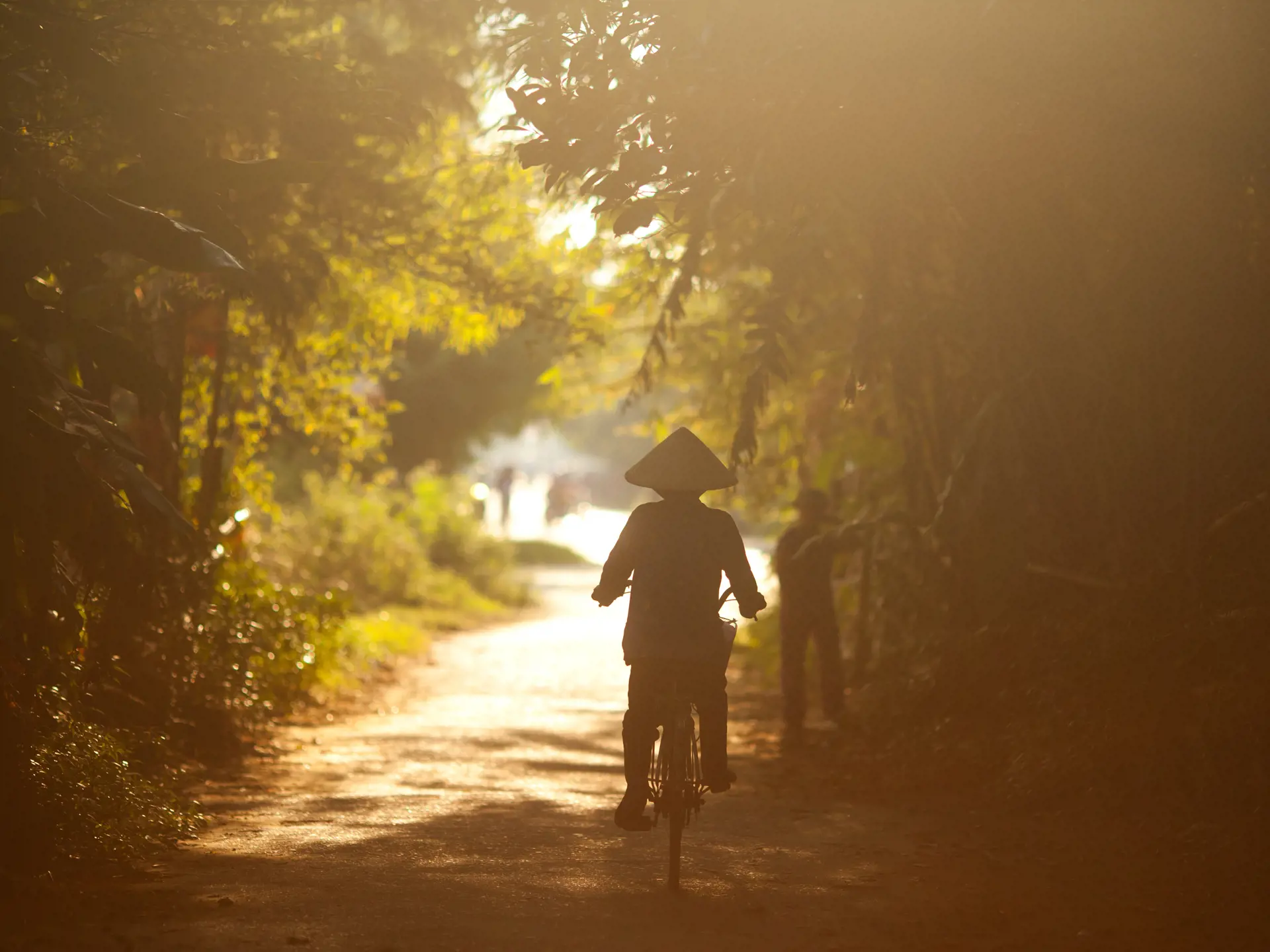 NINH BINH - Området ved Ninh Binh indbyder til en cykeltur mellem små uspolerede landsbyer. 