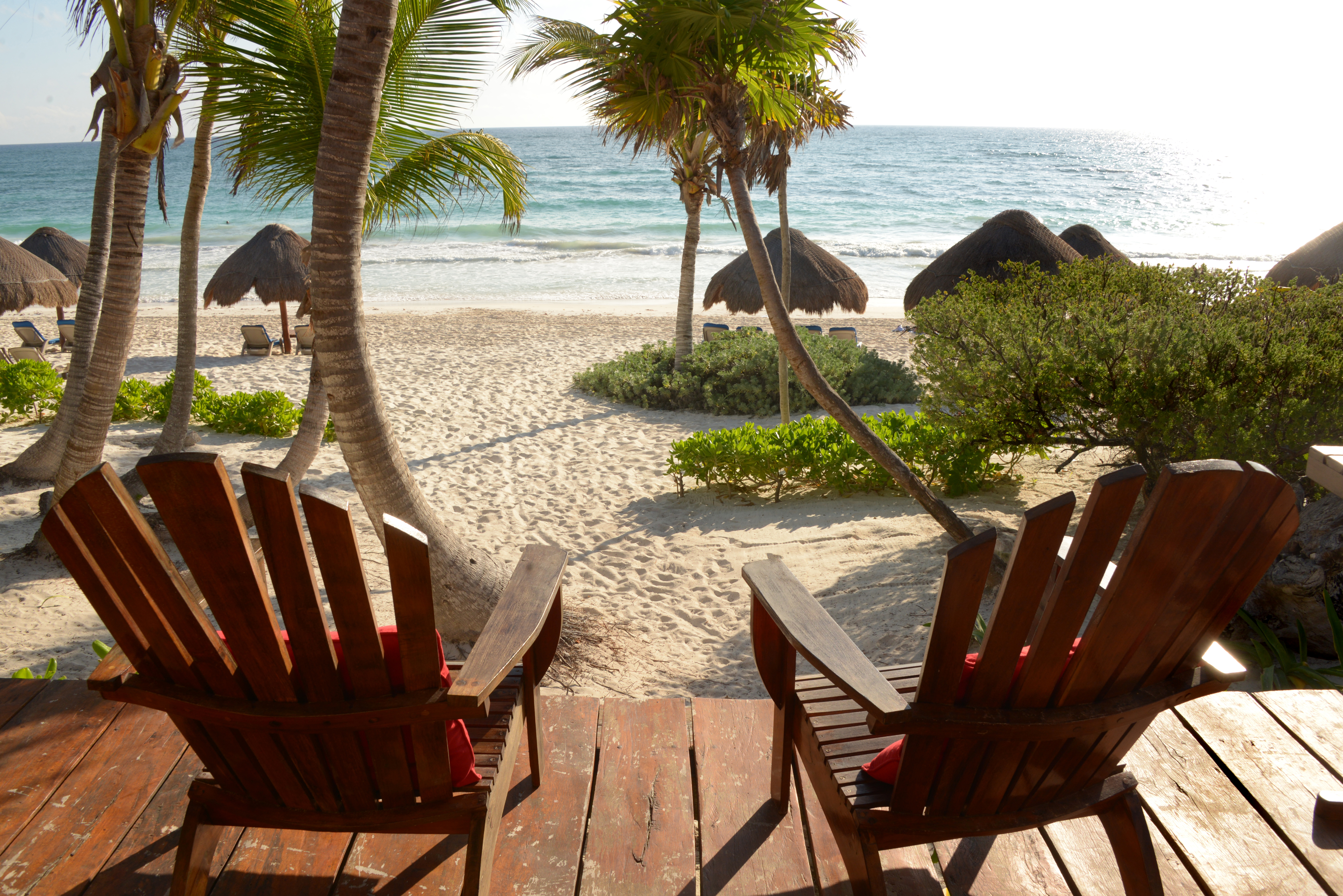HIP TULUM - Palmer på stranden ved hotellet. 