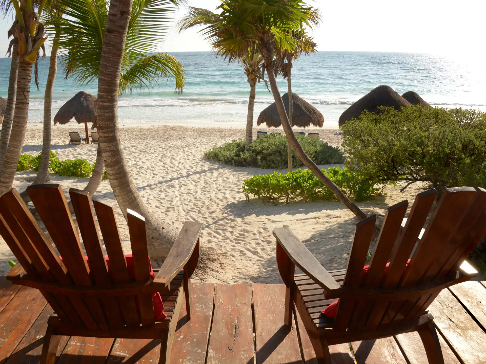 HIP TULUM - Palmer på stranden ved hotellet.