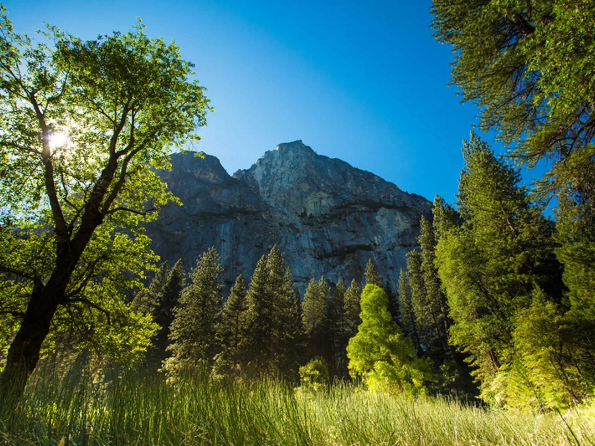 USA - Californien - Yosemite - Visit California (30).jpg