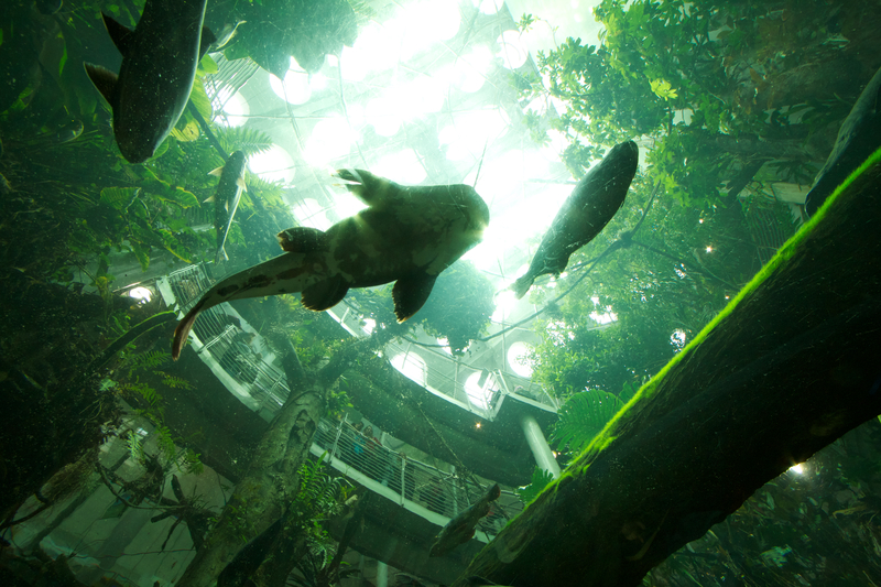 USA - Californien - Monterey - Visit California (2).jpg