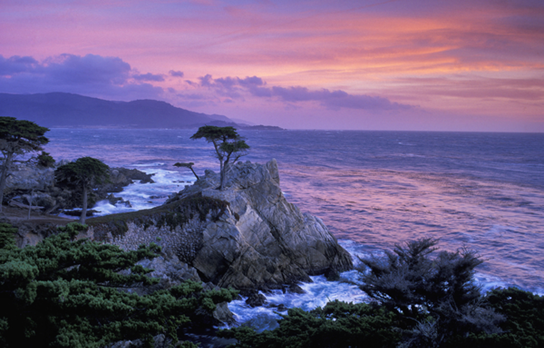 USA - Californien - 17 mile drive - Monterey - Visit California (14).jpg