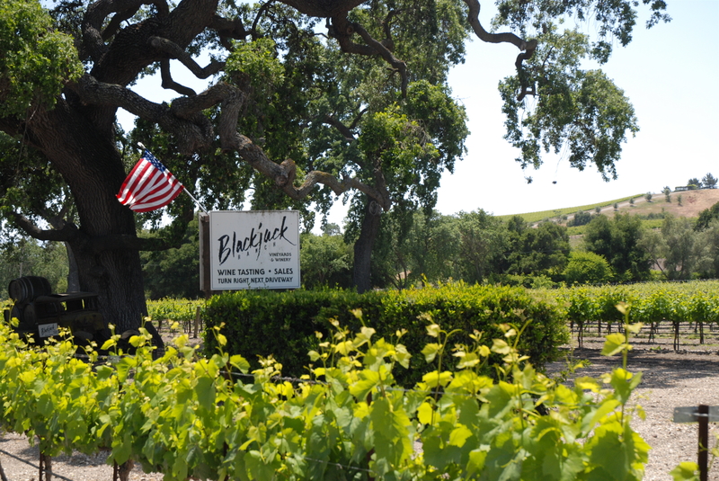 USA - Californien - Santa YnezValley - Solvang - Visit California (21).jpg