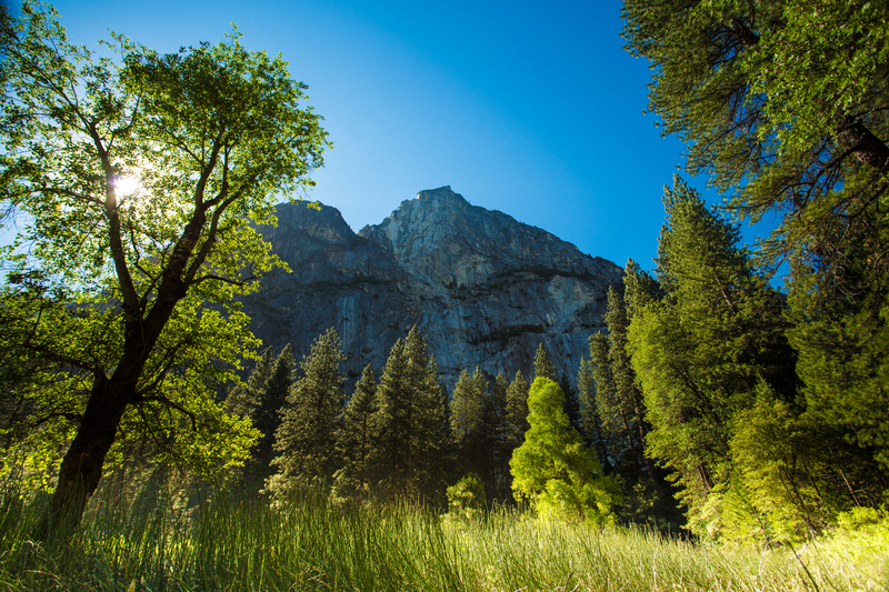 USA - Californien - Yosemite - Visit California (30).jpg