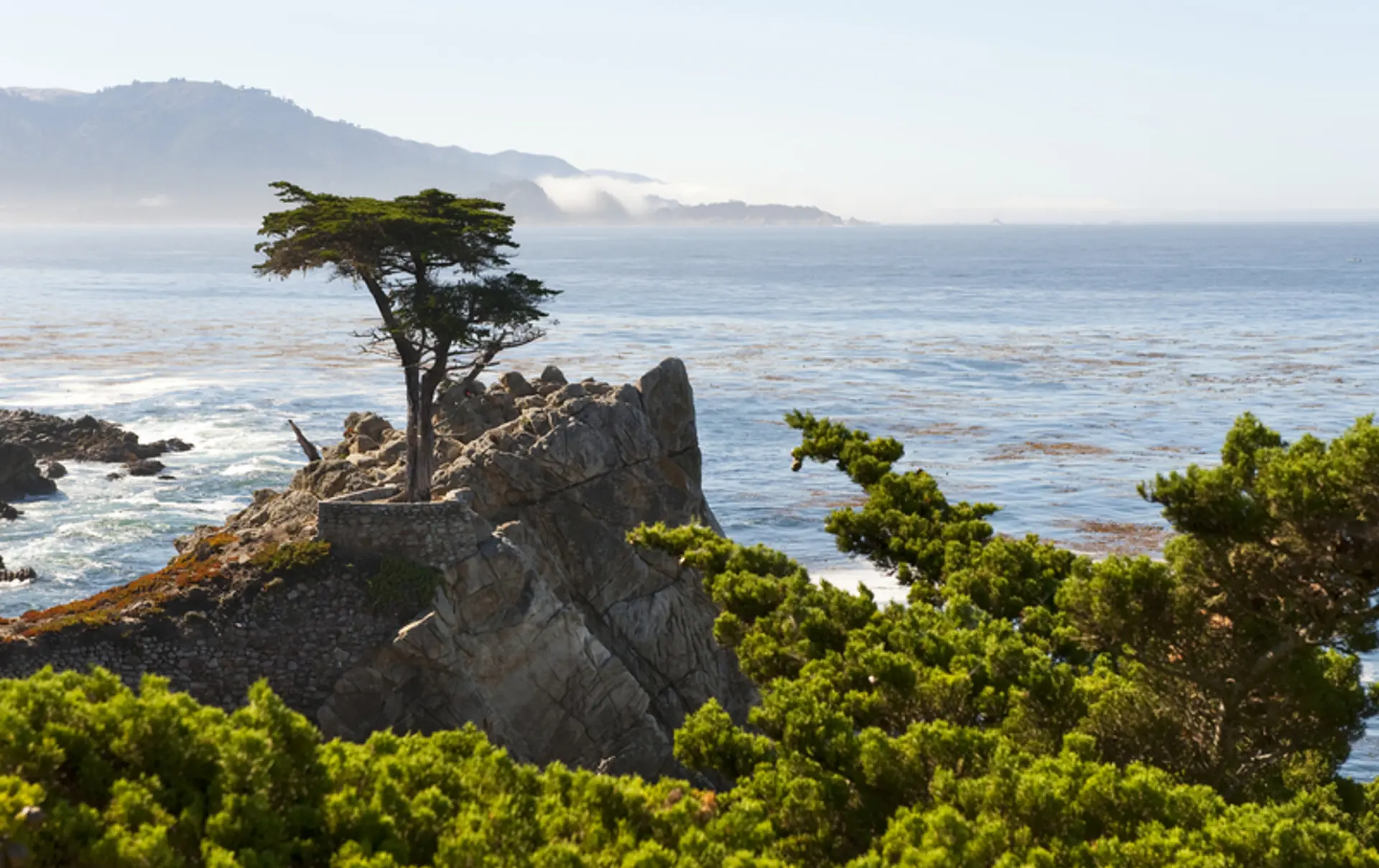 USA - Californien - Highway 1 - 17 mile drive - Carmel - The Line Cypress - Visit California (35).jpg