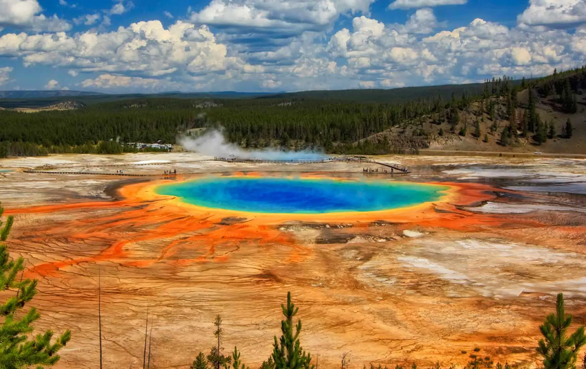 USA - Wyoming - Yellowstone - El.jpg