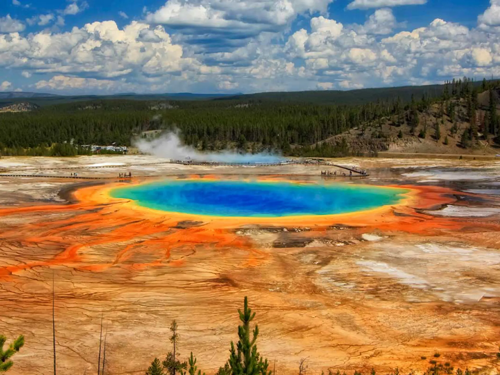USA - Wyoming - Yellowstone - El.jpg