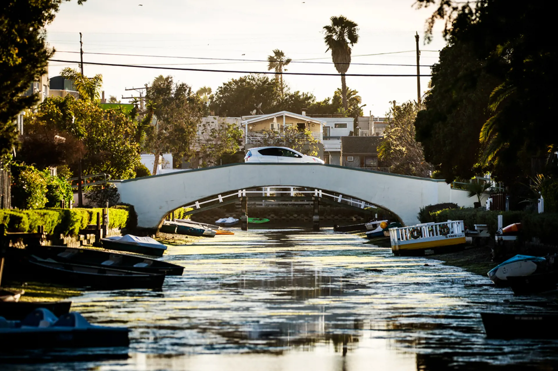 USA - California - Los Angeles - Canals of Venice.jpg