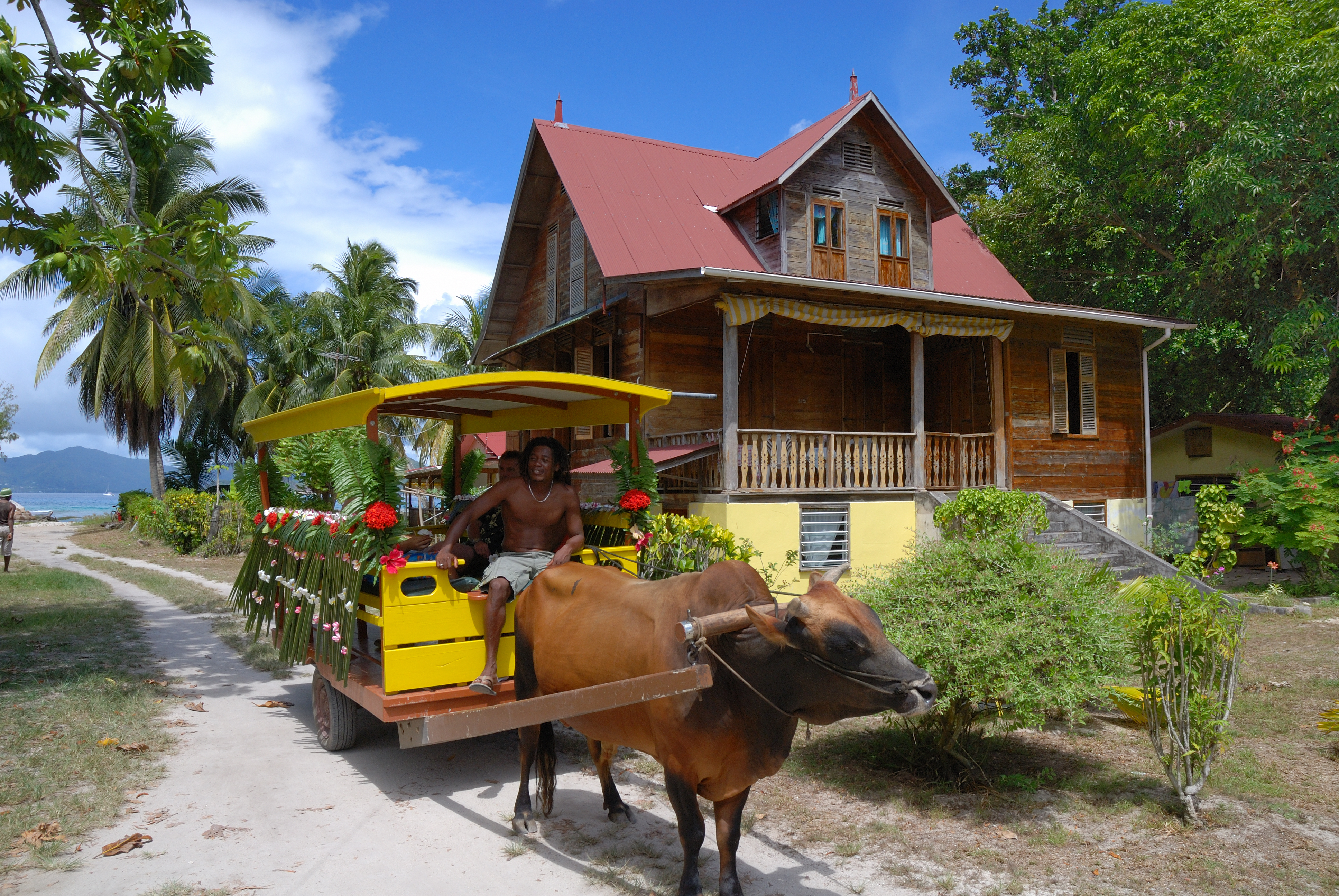 271_IMG5 Ox Cart & Old House_3872x2592.jpg