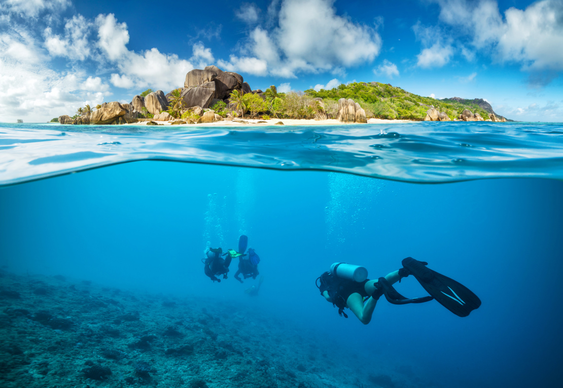 DYKNING - Seychellerne er et sandt paradis for dykkere. I det klare vand kan I se et væld af farvestrålende fisk.