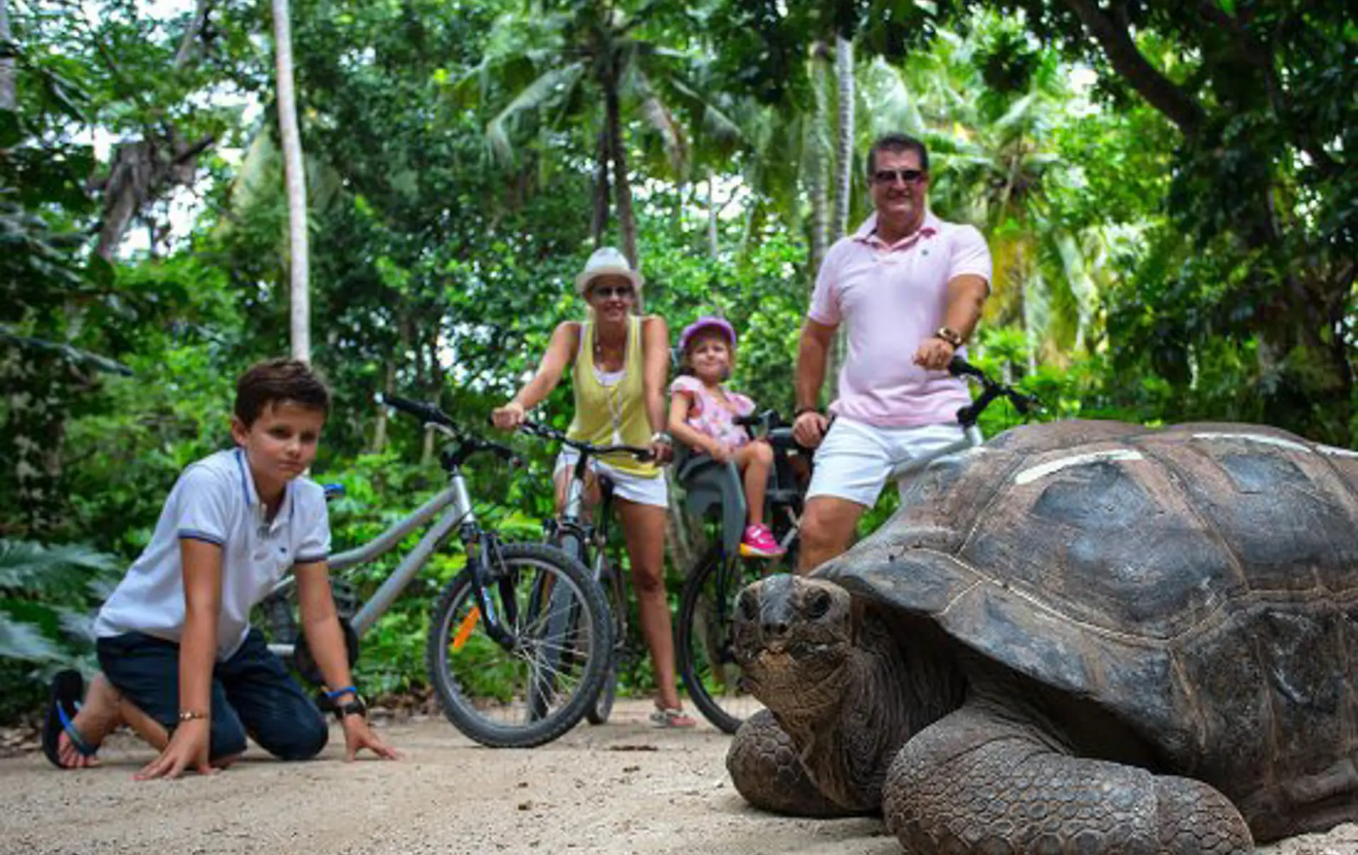 KÆMPESKILDPADDER - På Curieuse Island kan I komme helt tæt på de store Aldabra-skildpadder, der kan blive op til 150 år.