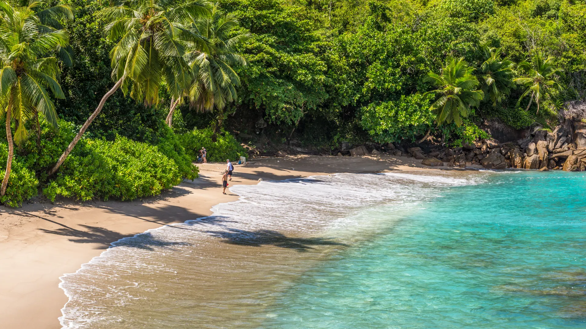 STRAND OG JUNGLE - De mange smukke tropestrande kantes af tæt, frodig jungle.
