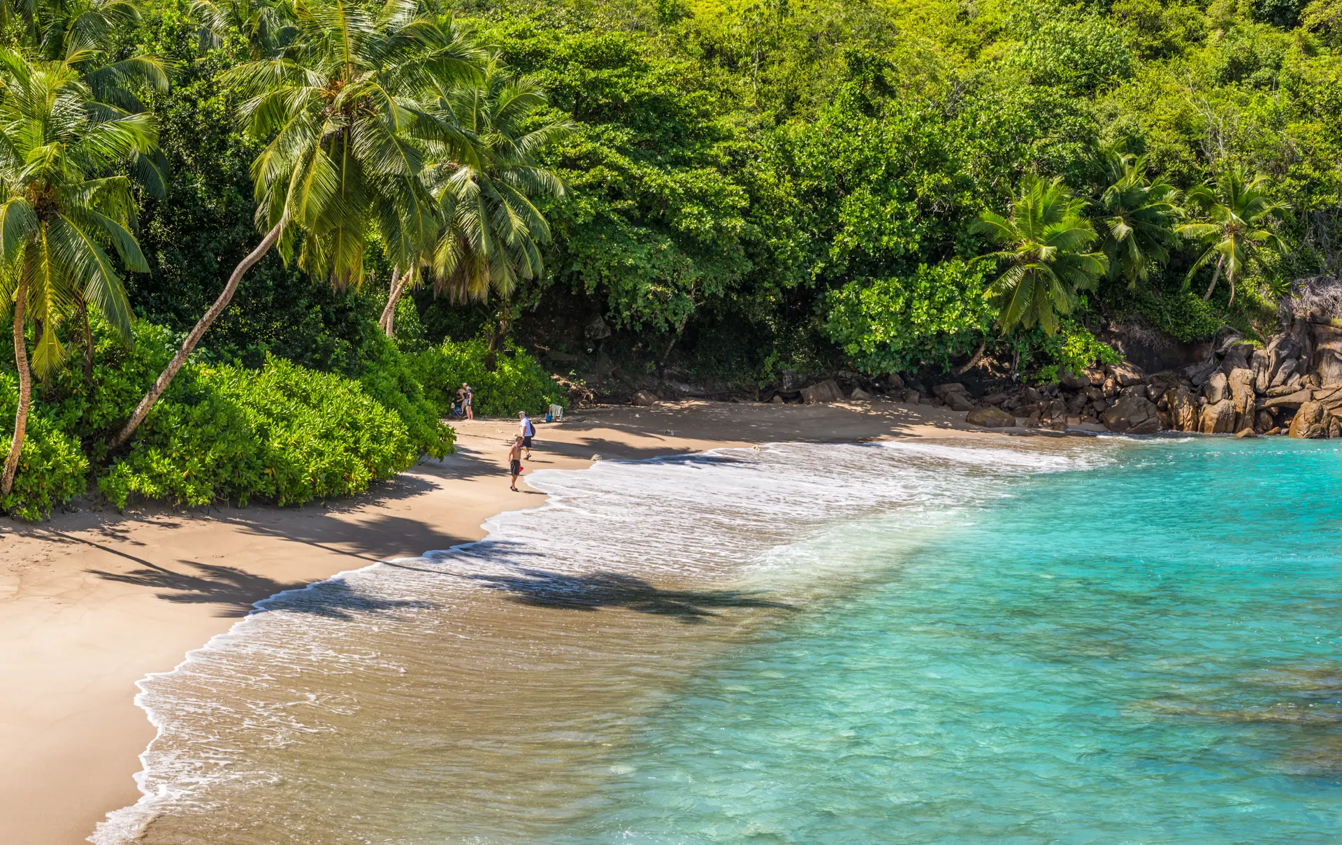 STRAND OG JUNGLE - De mange smukke tropestrande kantes af tæt, frodig jungle.