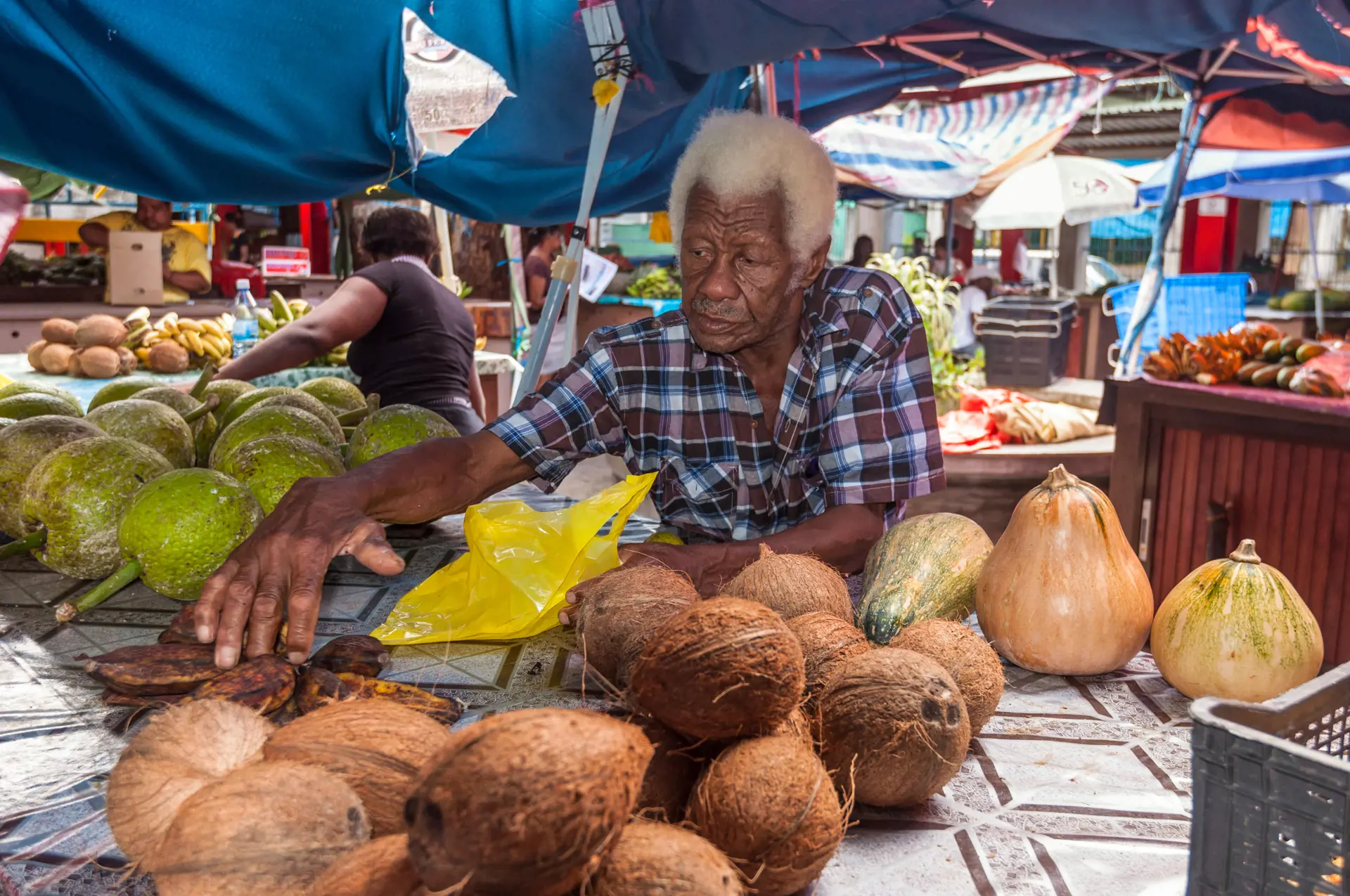 MARKEDSLIV - Mød de gæstfrie lokale seychellere på markeder rundt omkring på øerne. 