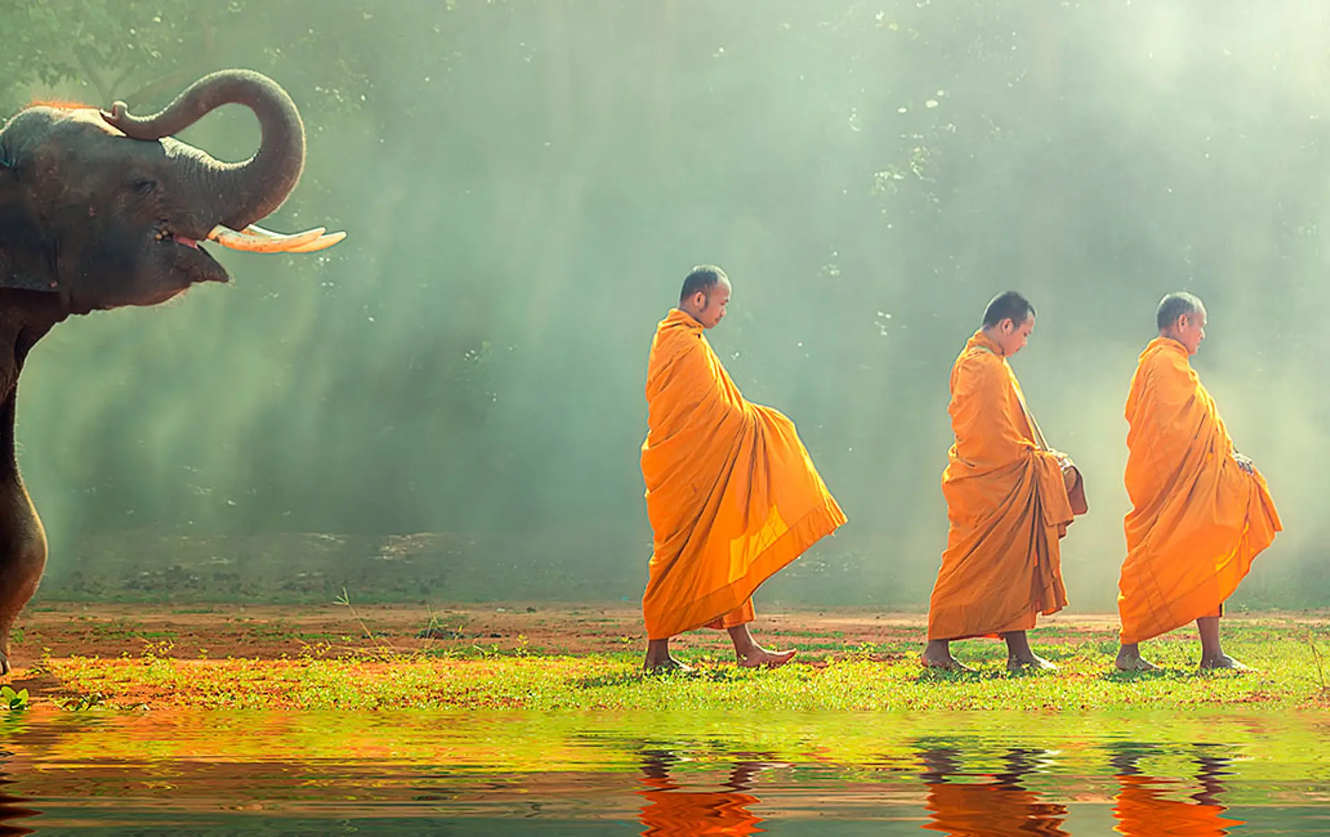 thailando-desktop_ny_650x1800.jpg