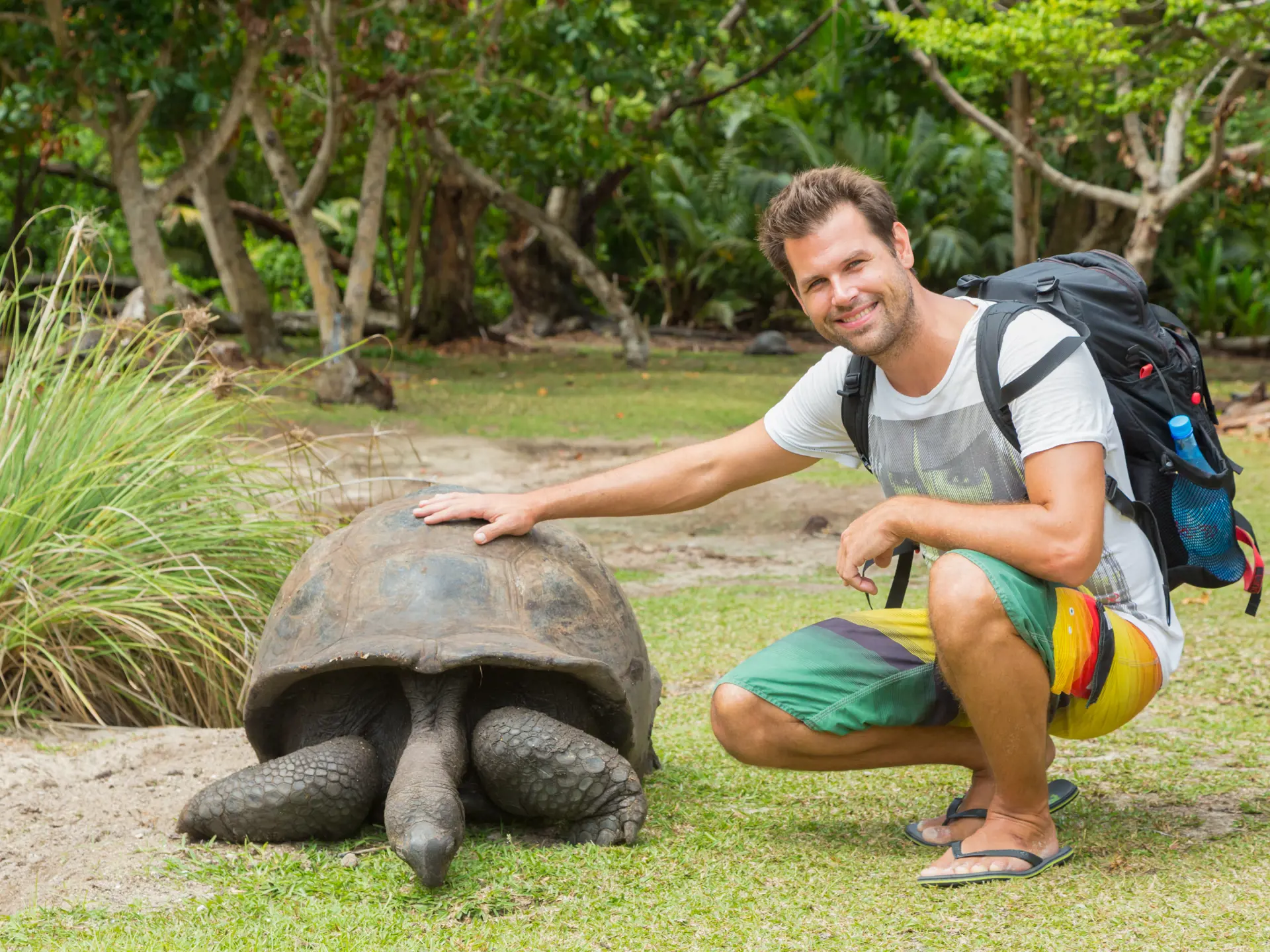 shutterstock_516712666 Aldabra giant tortoises, in National Marine Park on Curieuse island, close to Praslin.jpg